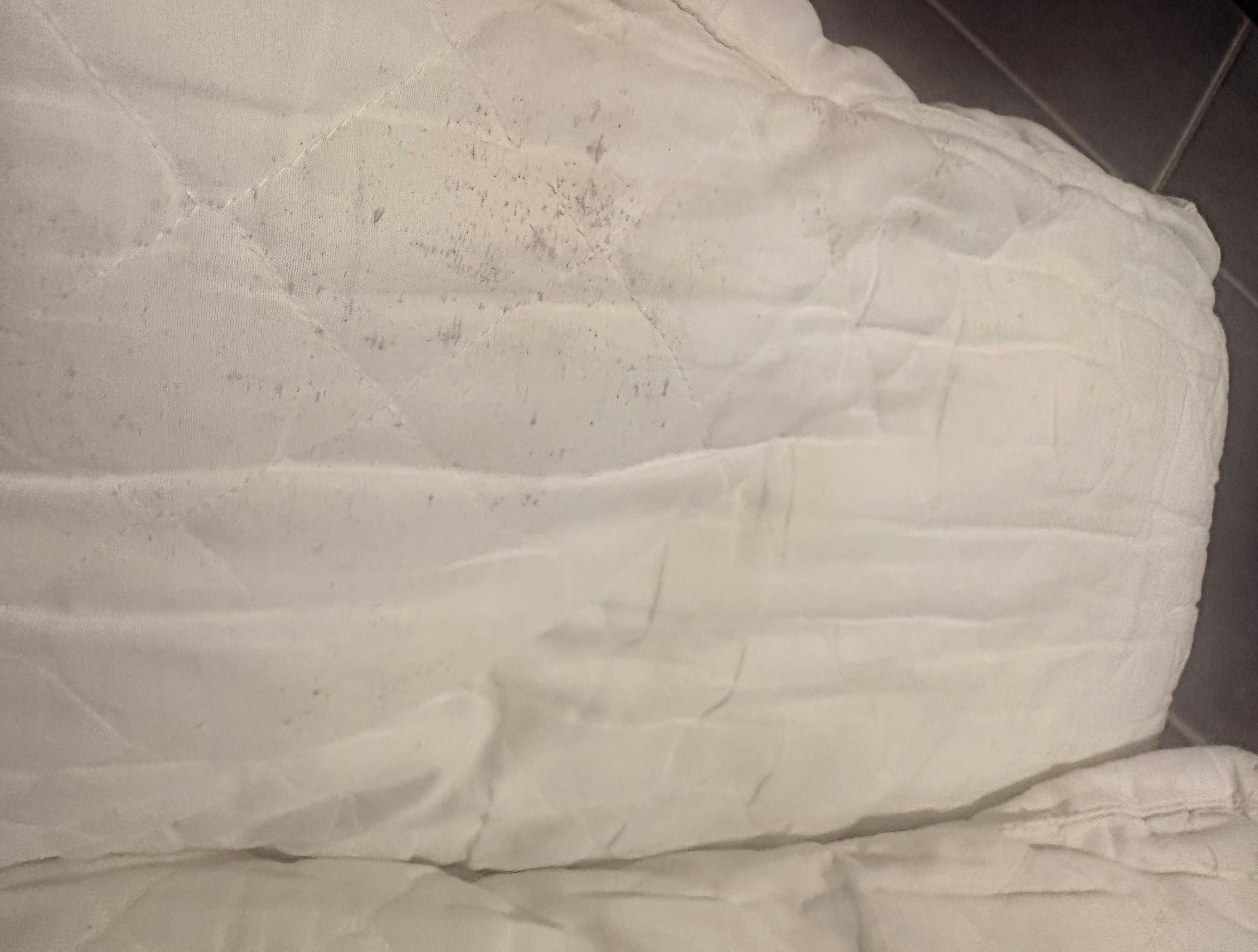 Pillows were stained and musty. 