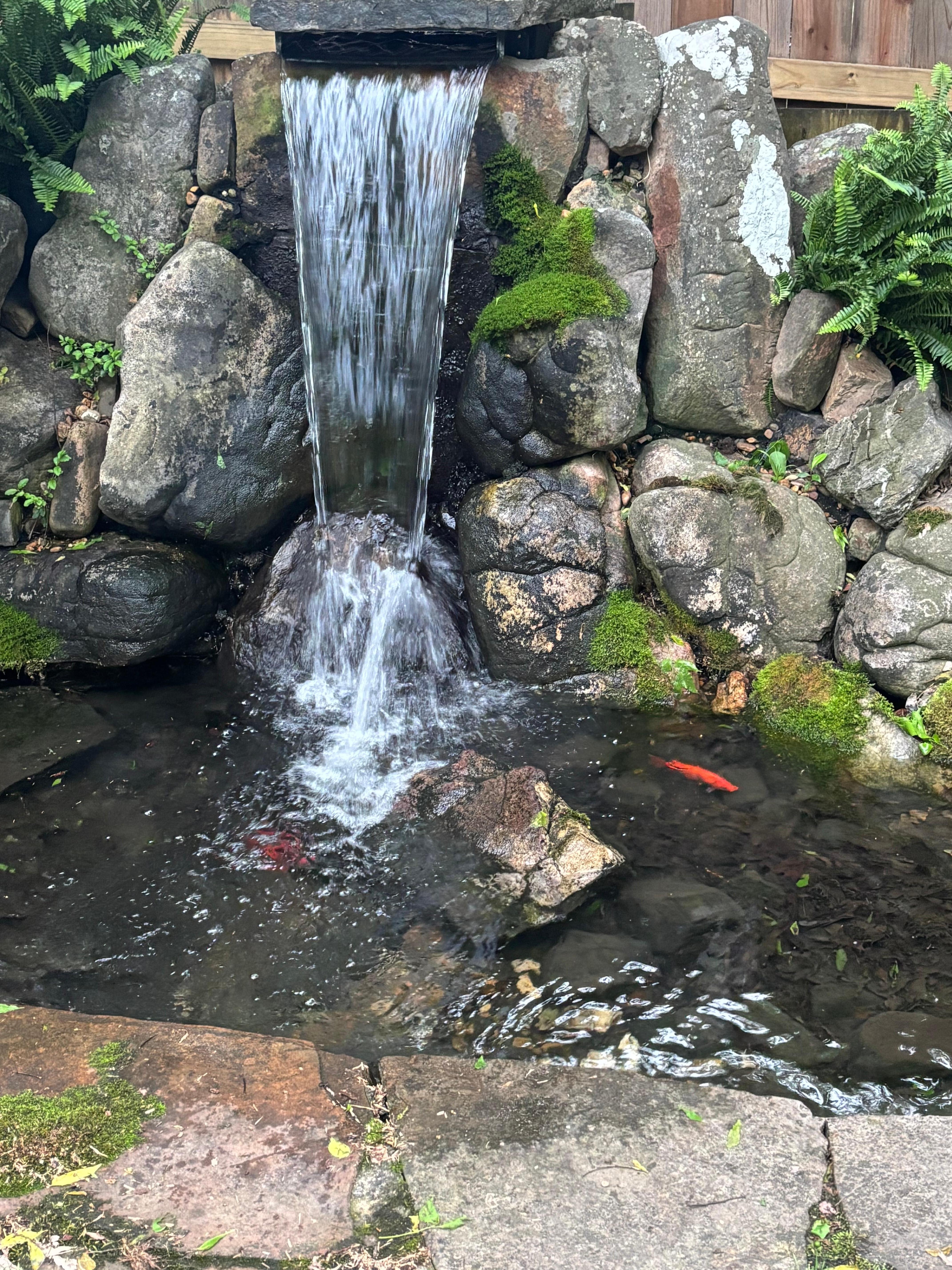 Goldfish pond was so relaxing to listen too!