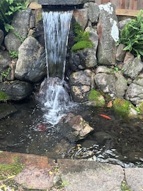 Goldfish pond was so relaxing to listen too!