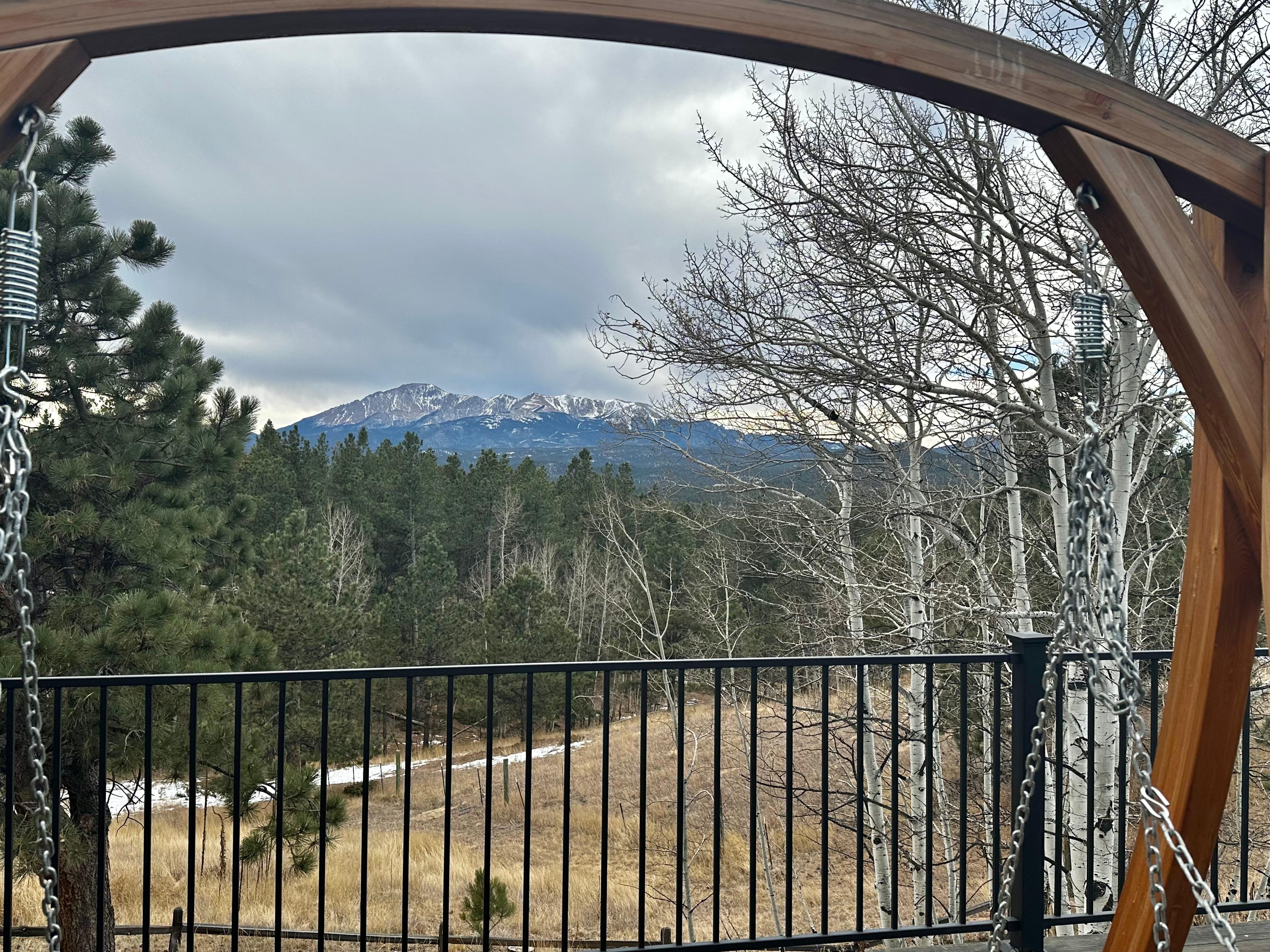 View from back porch.