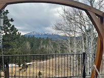 View from back porch.