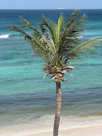View from room 405