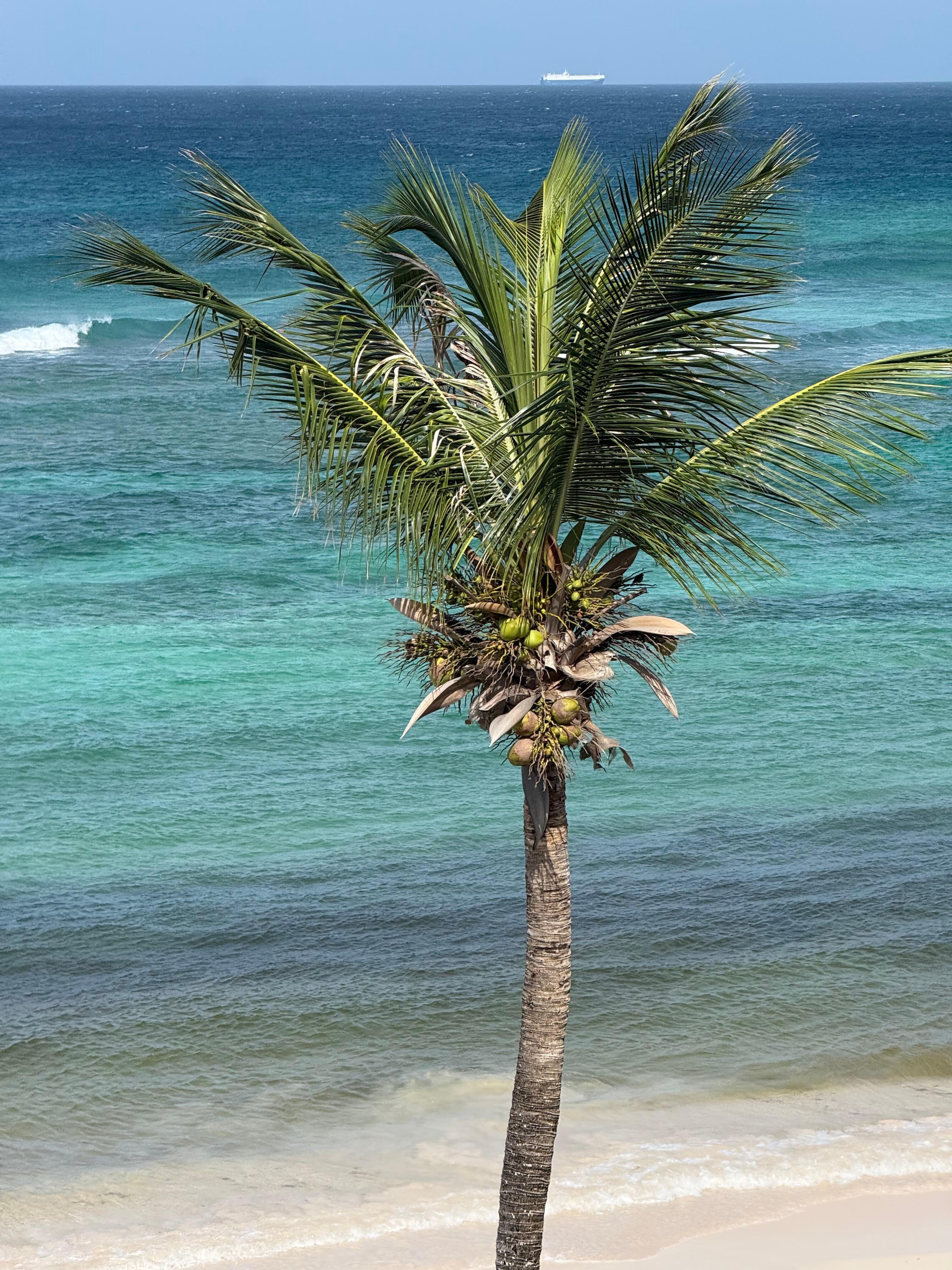 View from room 405