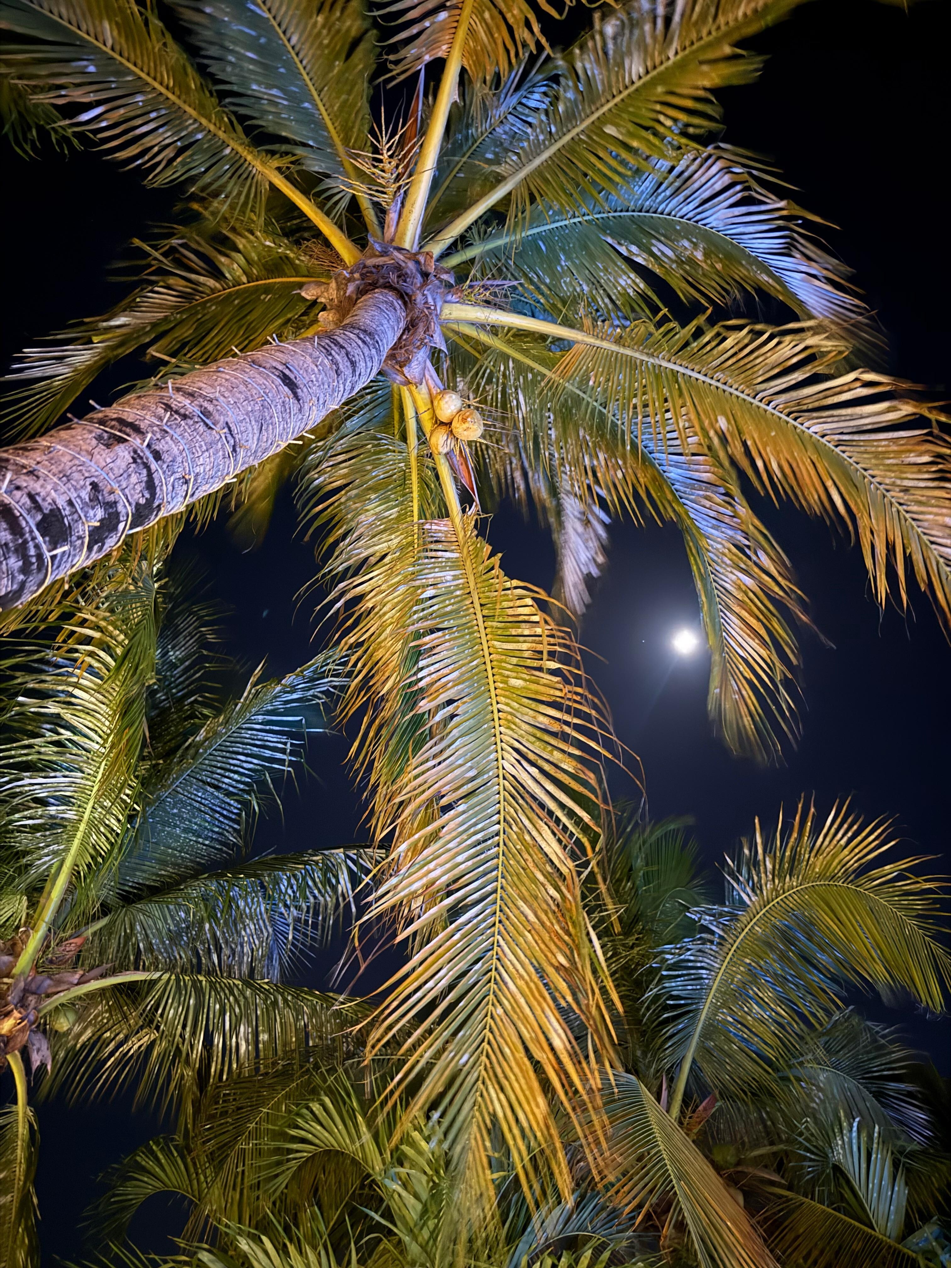 View at night from the pool.