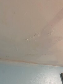 Ceiling leak
