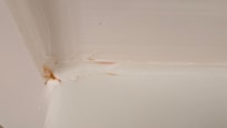 Mold