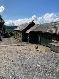 View from the kitchen area