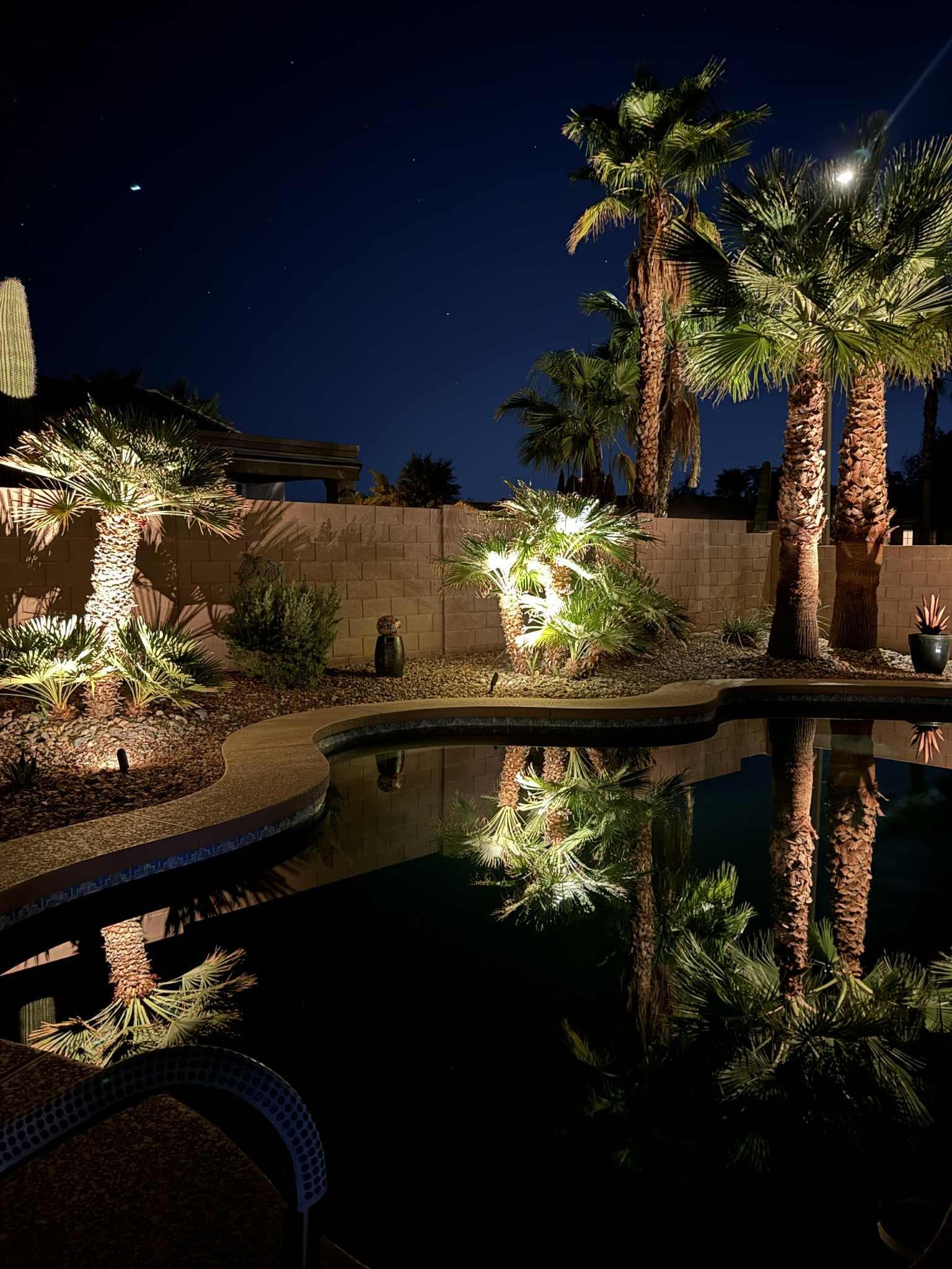 Can't get eoungh of the backyard!