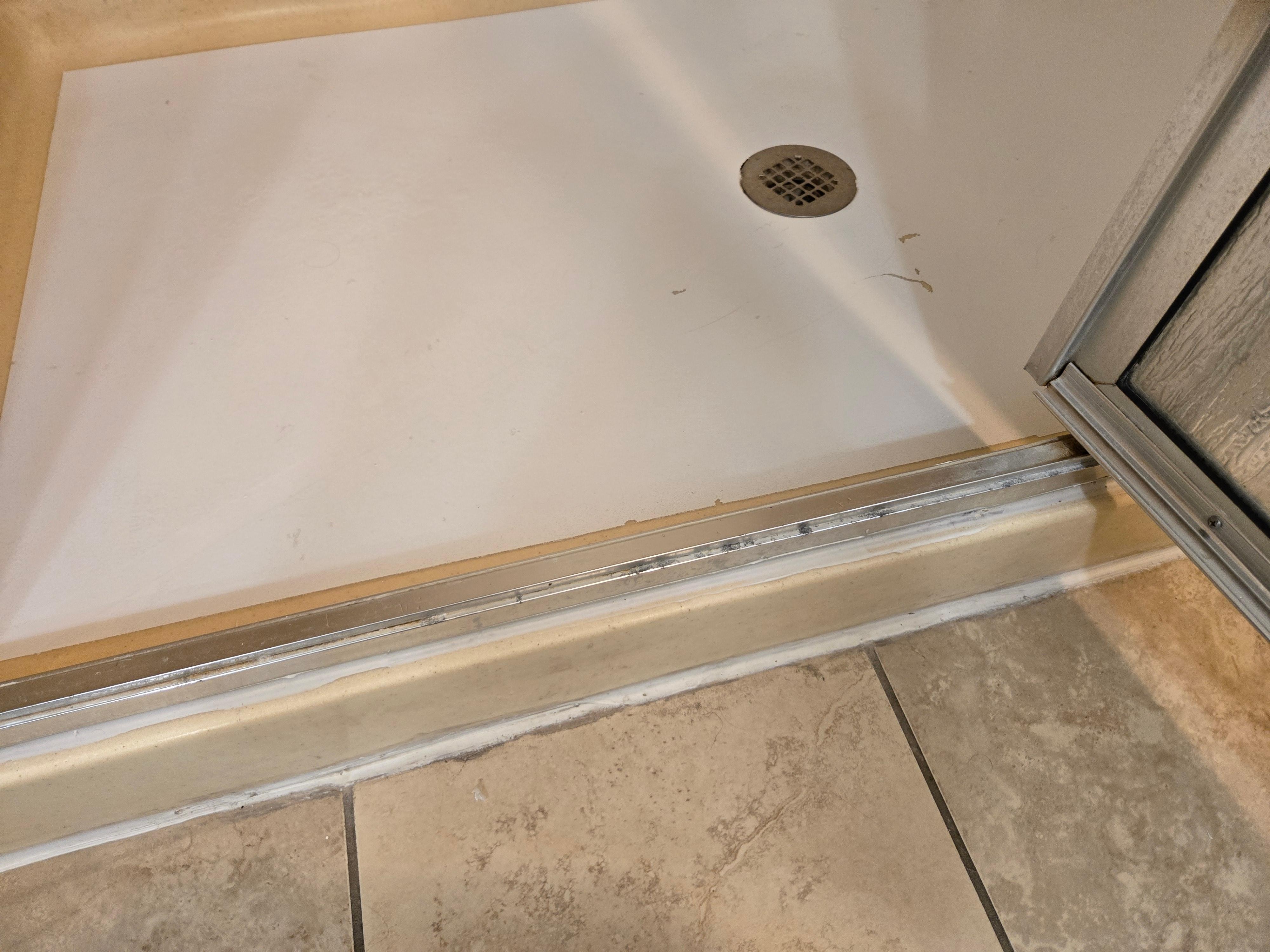Mold around the shower