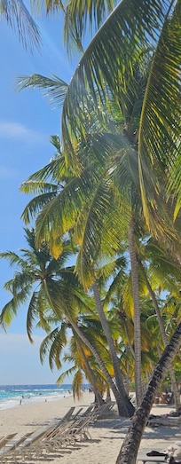 Majestic Elegance beach view from the terrace