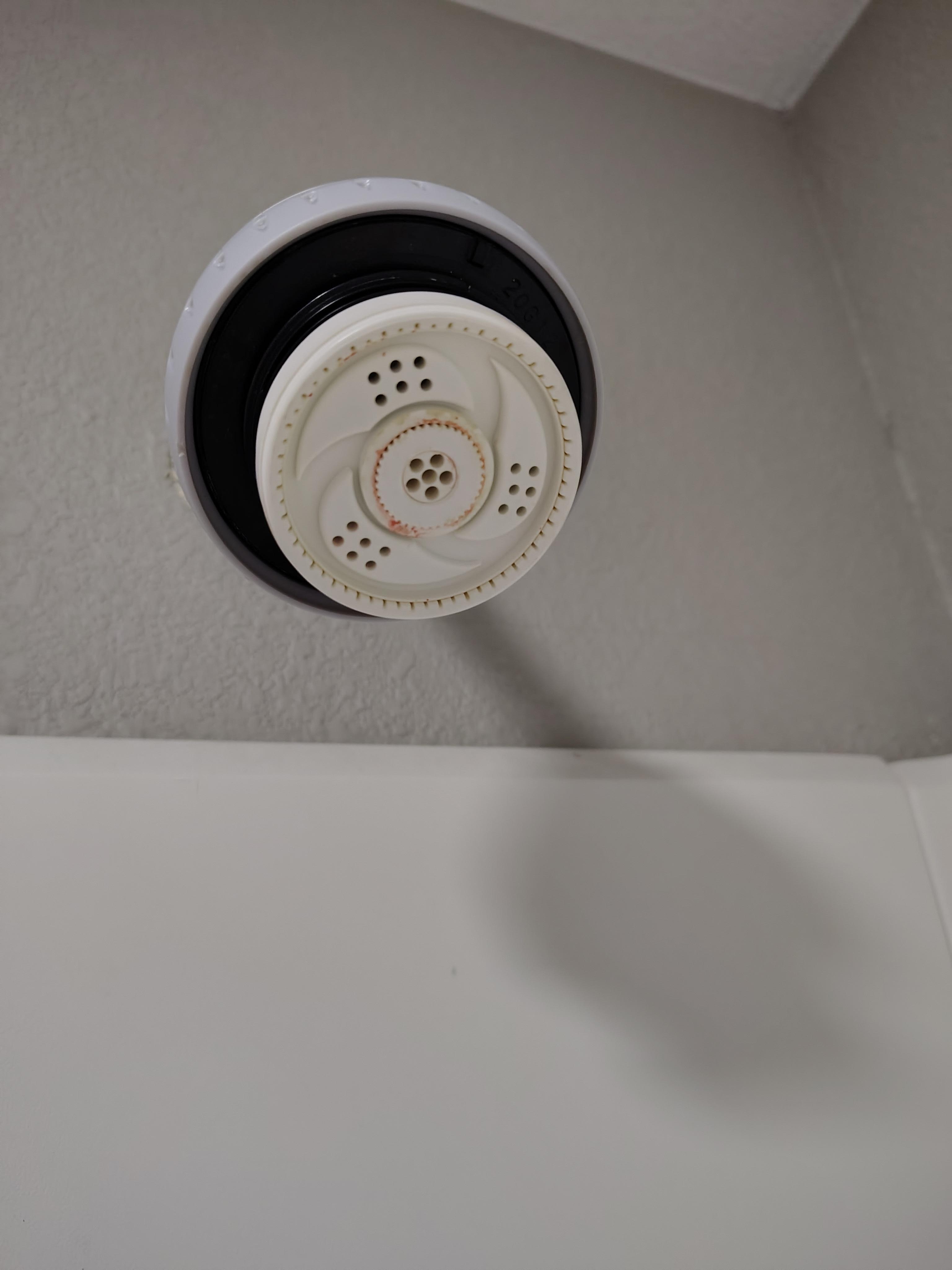 Mildew on the shower head.