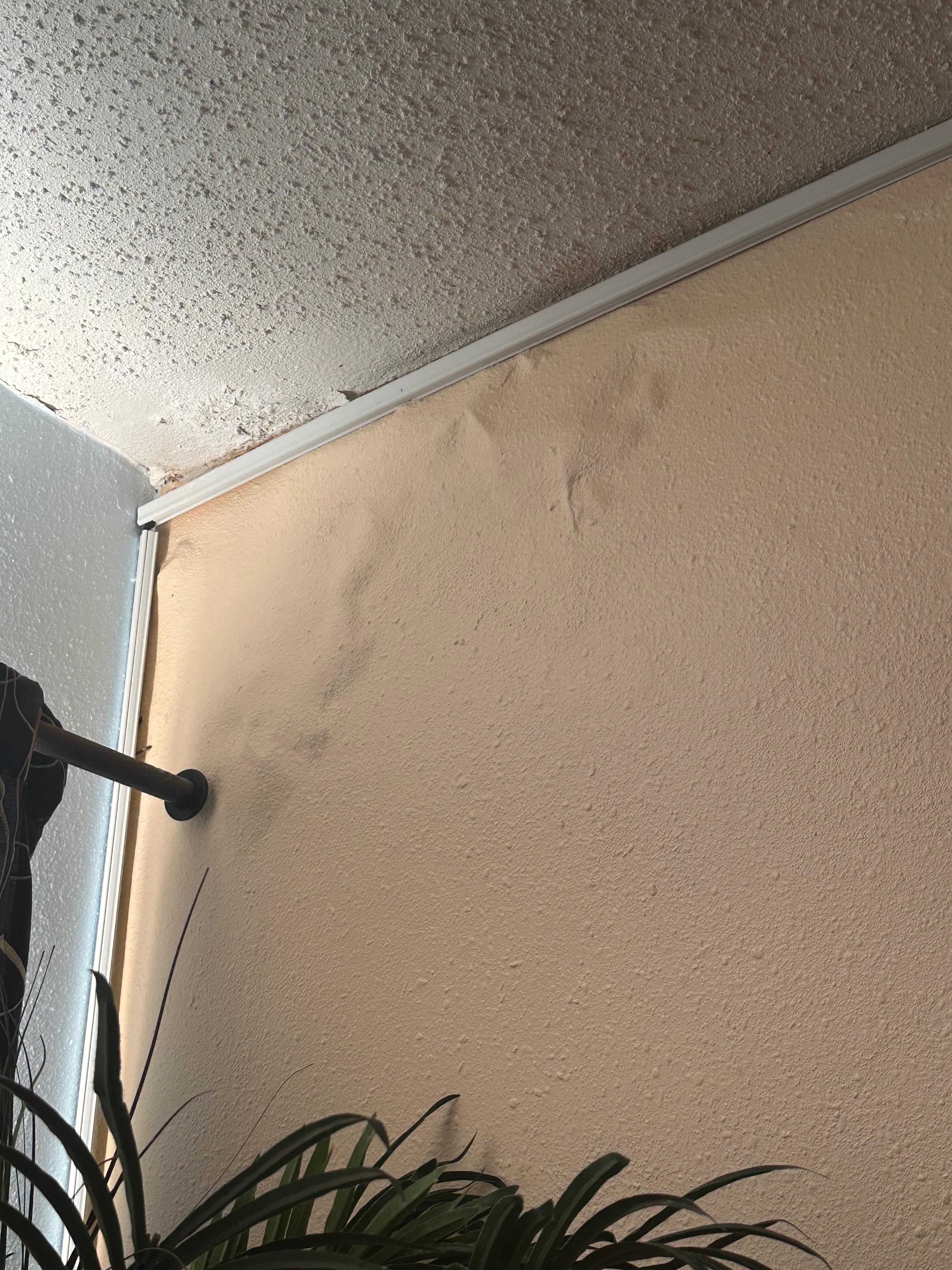 Ceiling in living room 