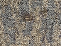 Soiled carpet