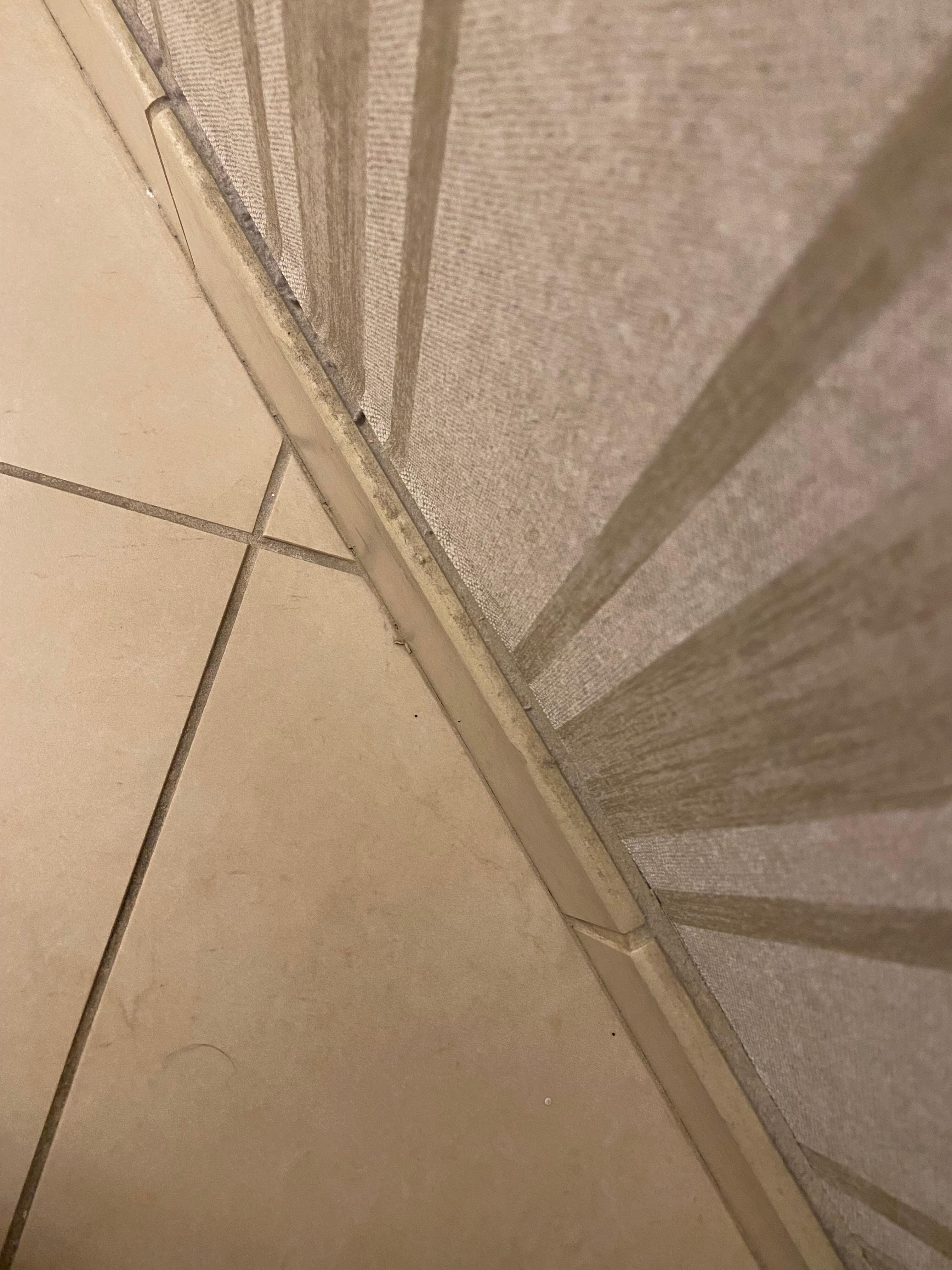 Tops of baseboards in bathroom.  That’s been there a long time!!!
