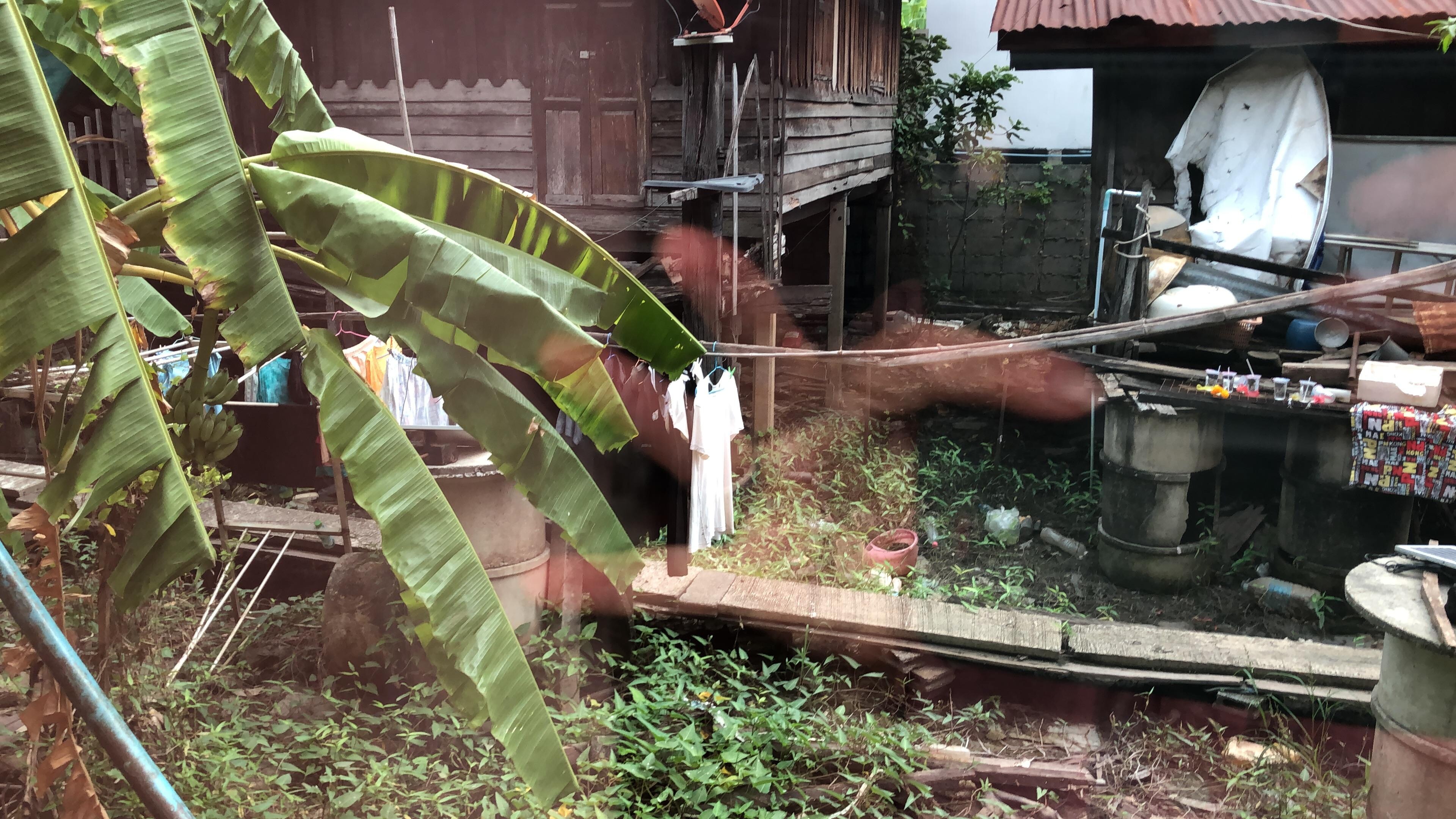 Aussicht aus dem Zimmer