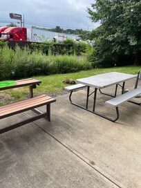 Outdoor eating area for kind breakfast. They keep a groundhog as a pet and he gets breakfast leftovers.
