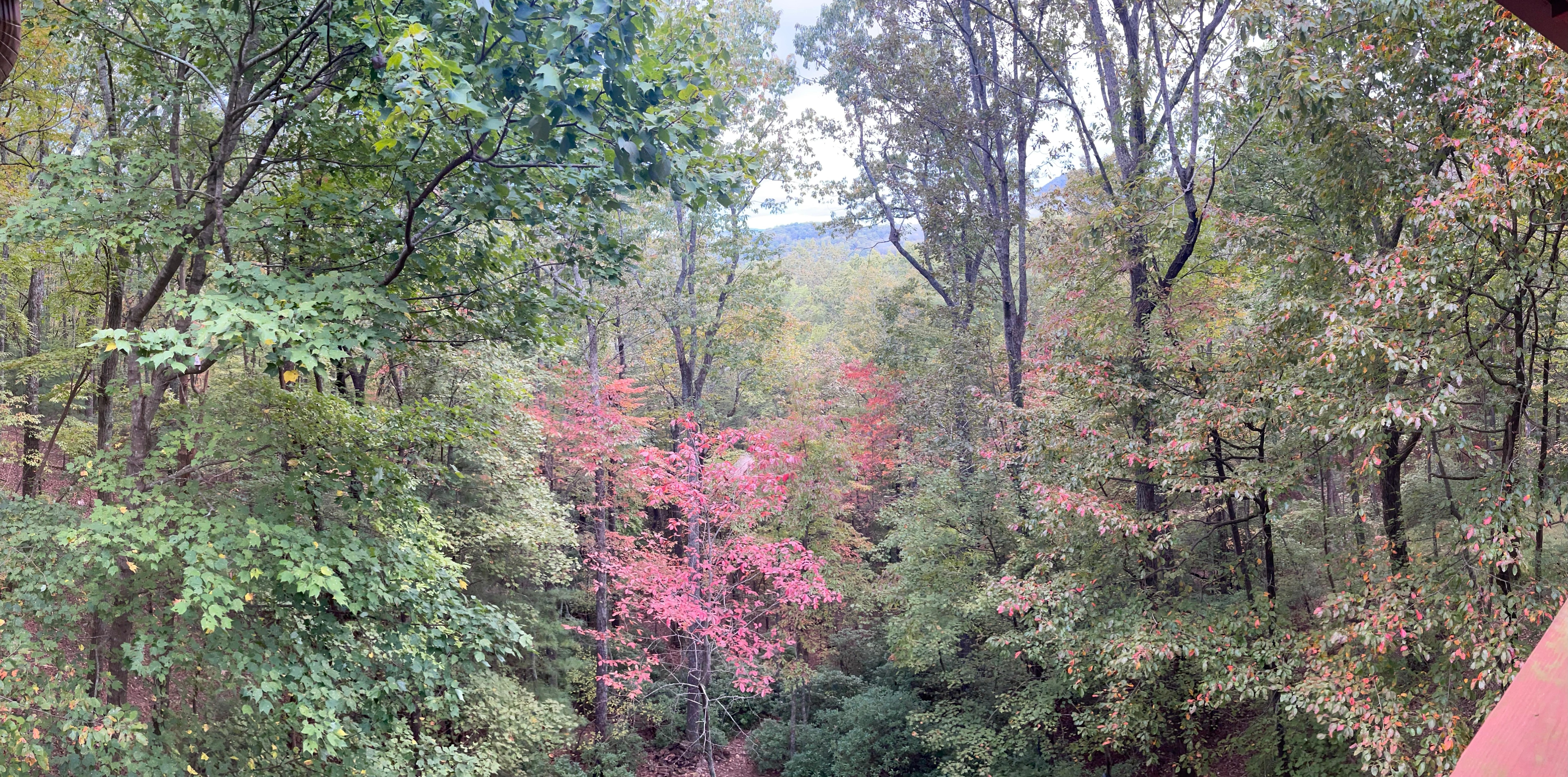 View from top balcony. 