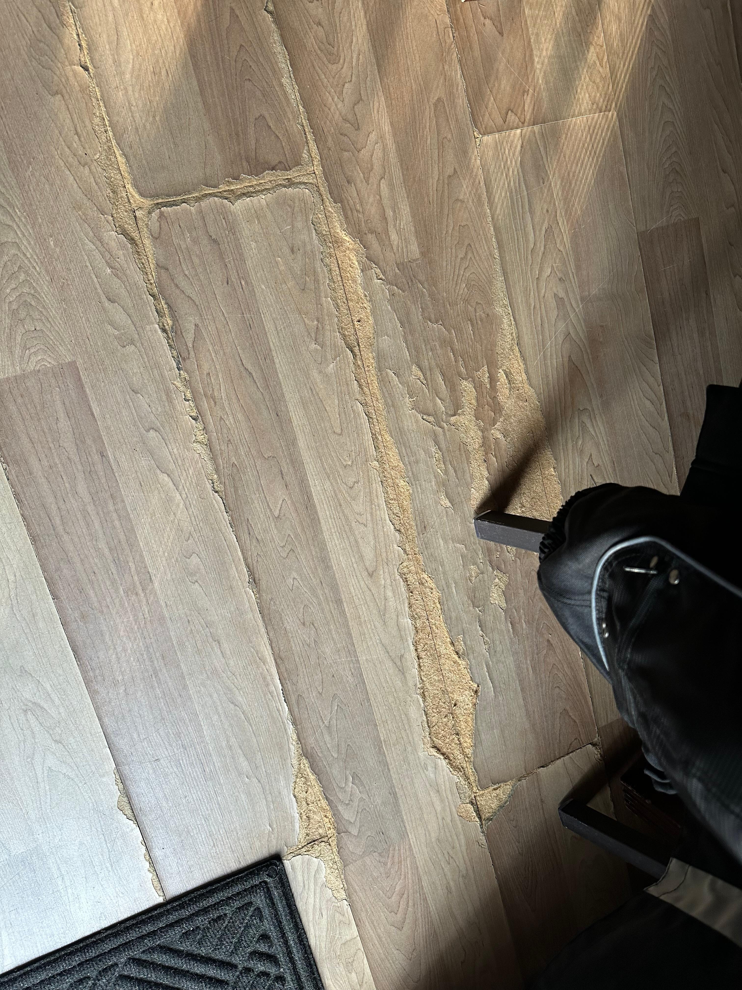 Floor