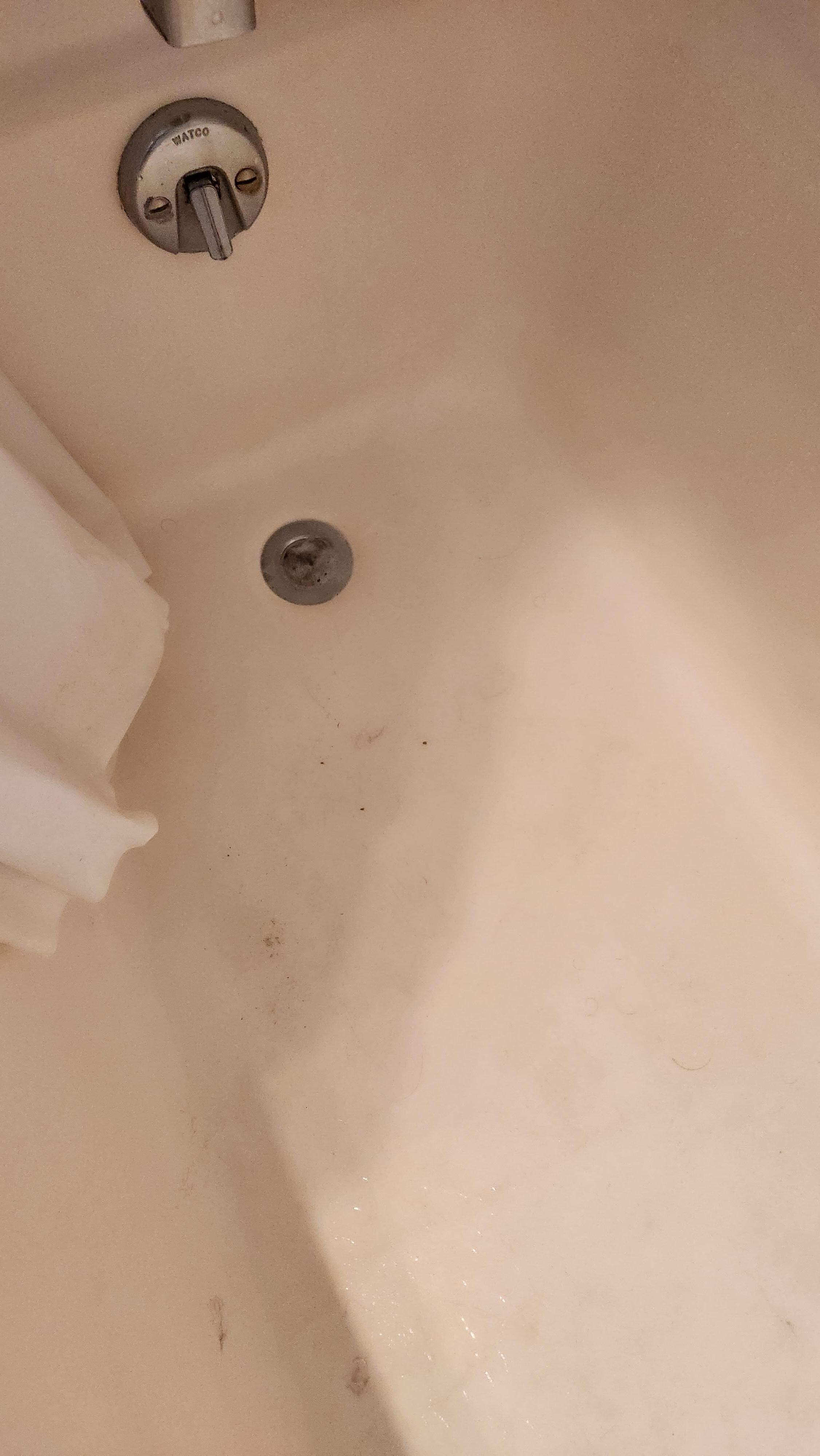 The clogged tub