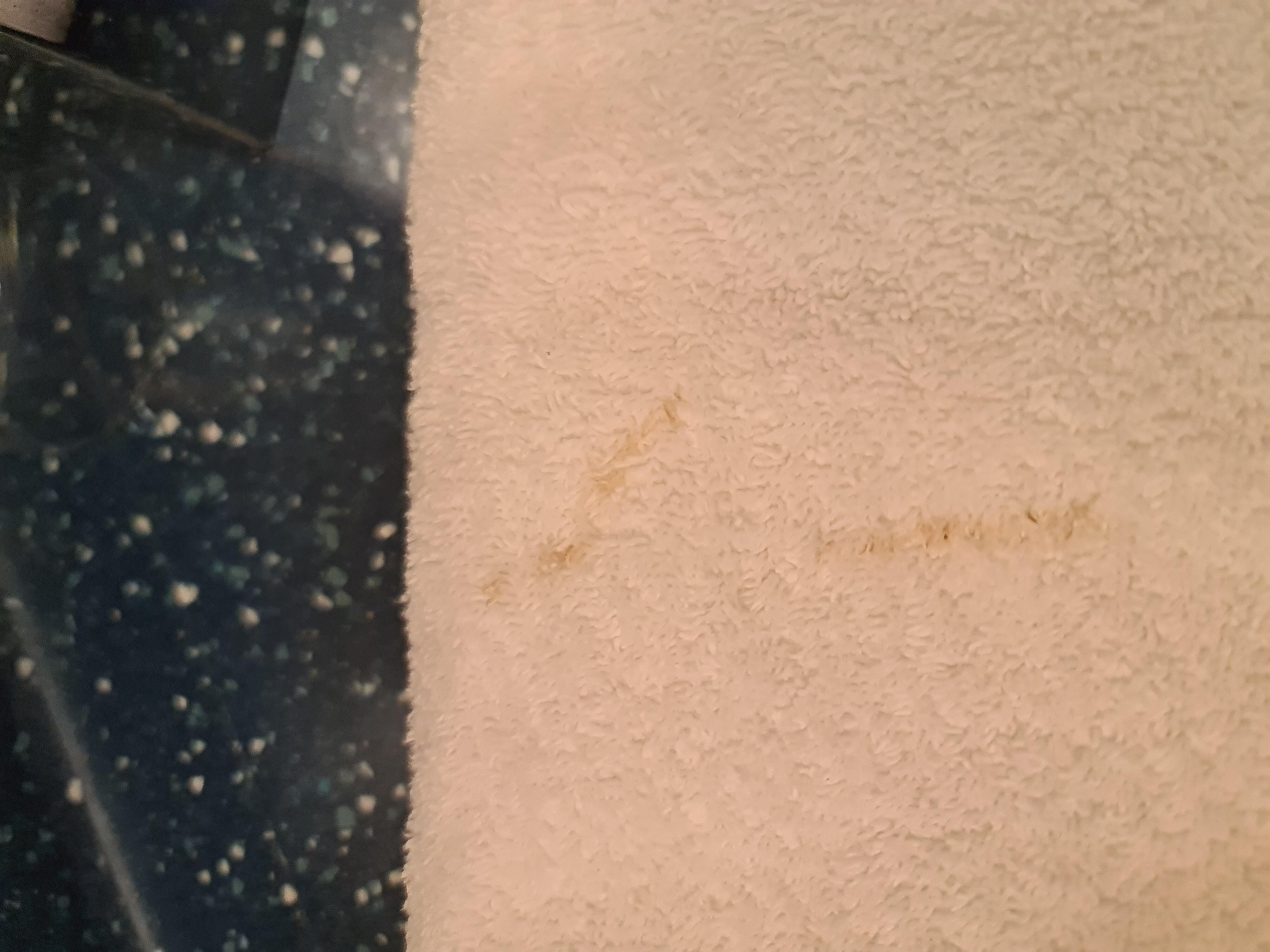 Brown marks on bath towel. Quickly changed though. 