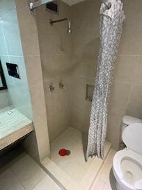 Regadera demasiado pequeña e incómoda, el cabezal de o ducha muy bajo, tenía que agacharme para bañarme .