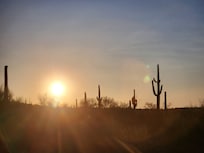 One of many beautiful Sunsets!