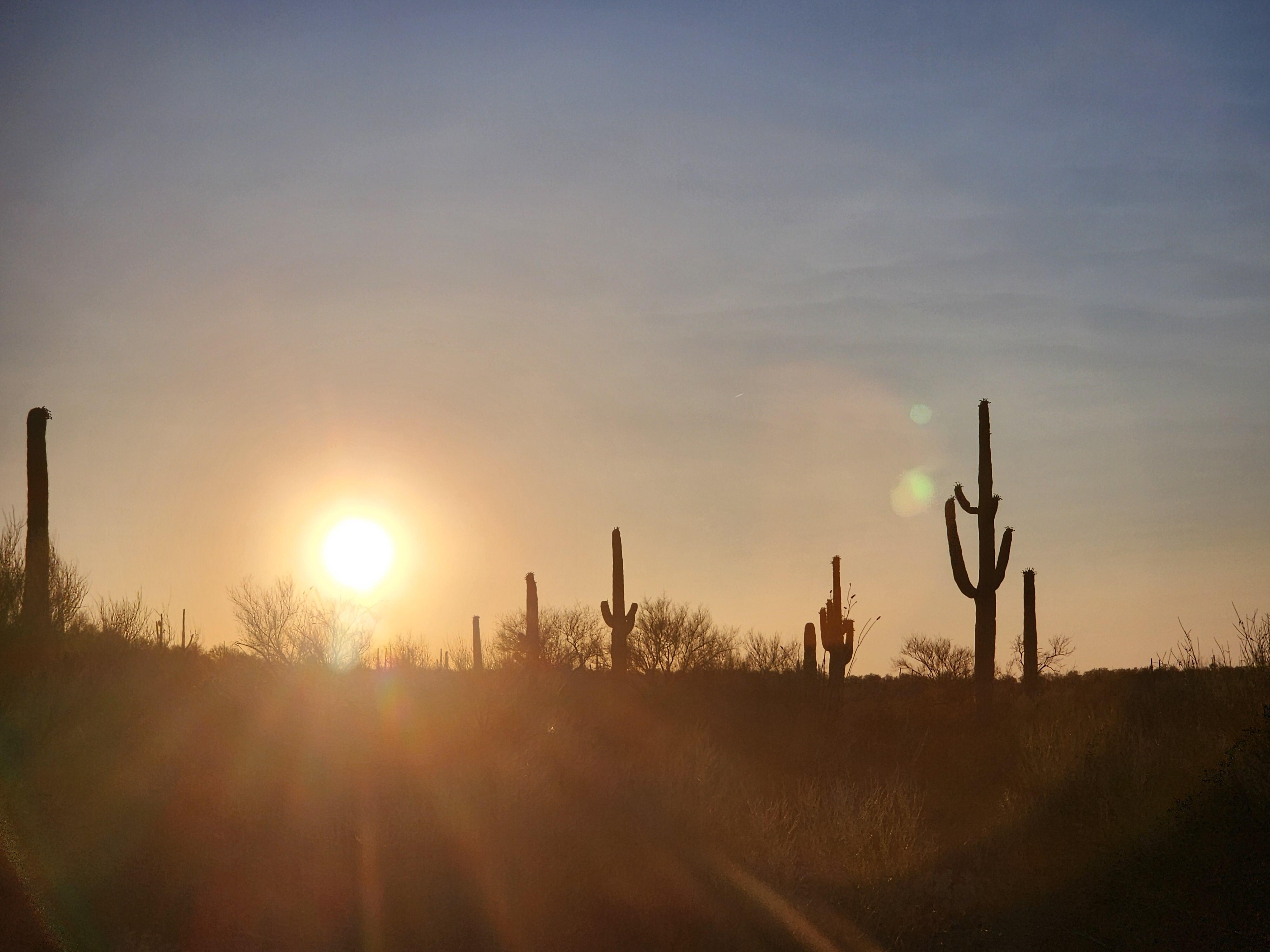 One of many beautiful Sunsets!