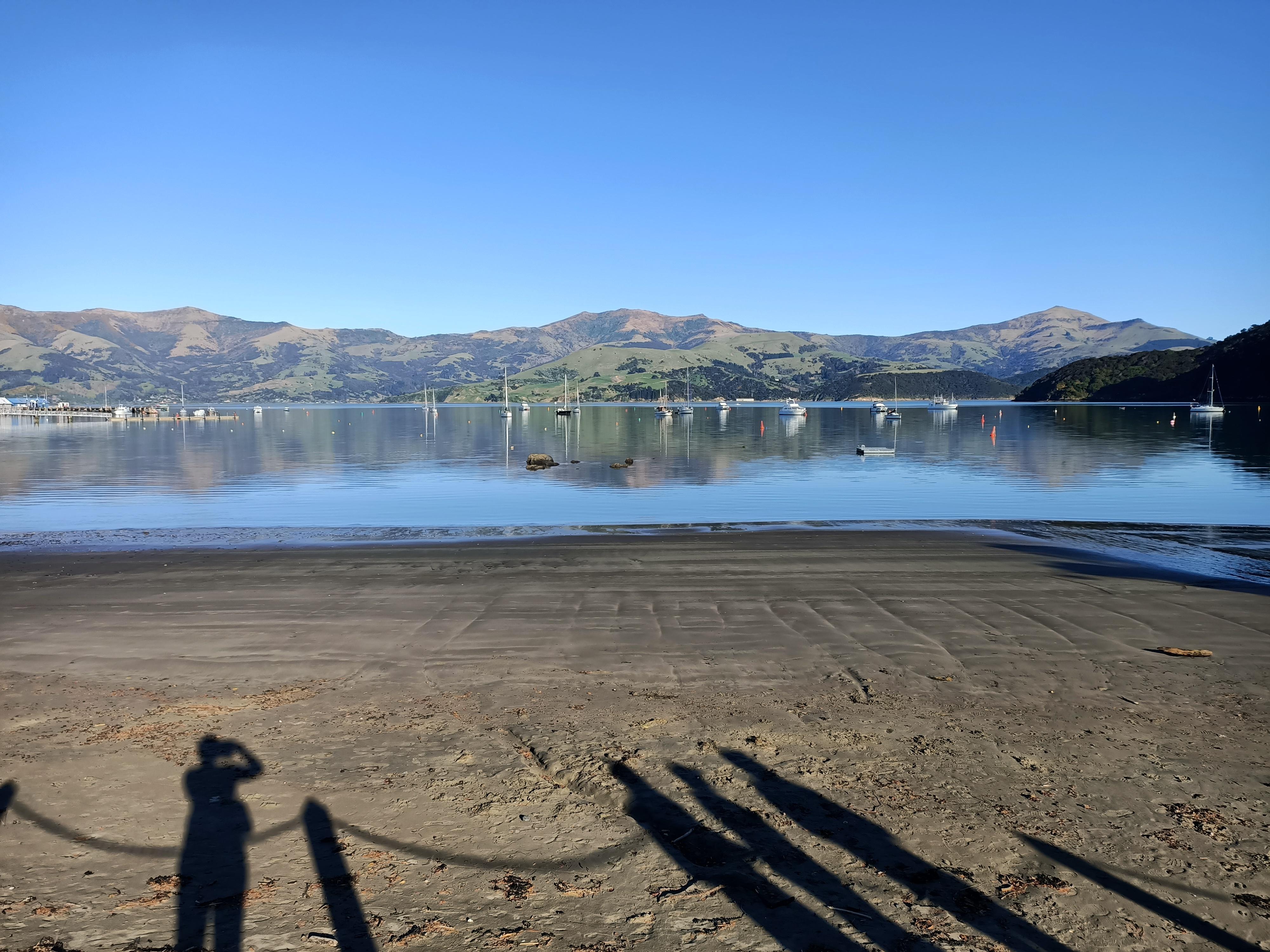 View from beach across the road 