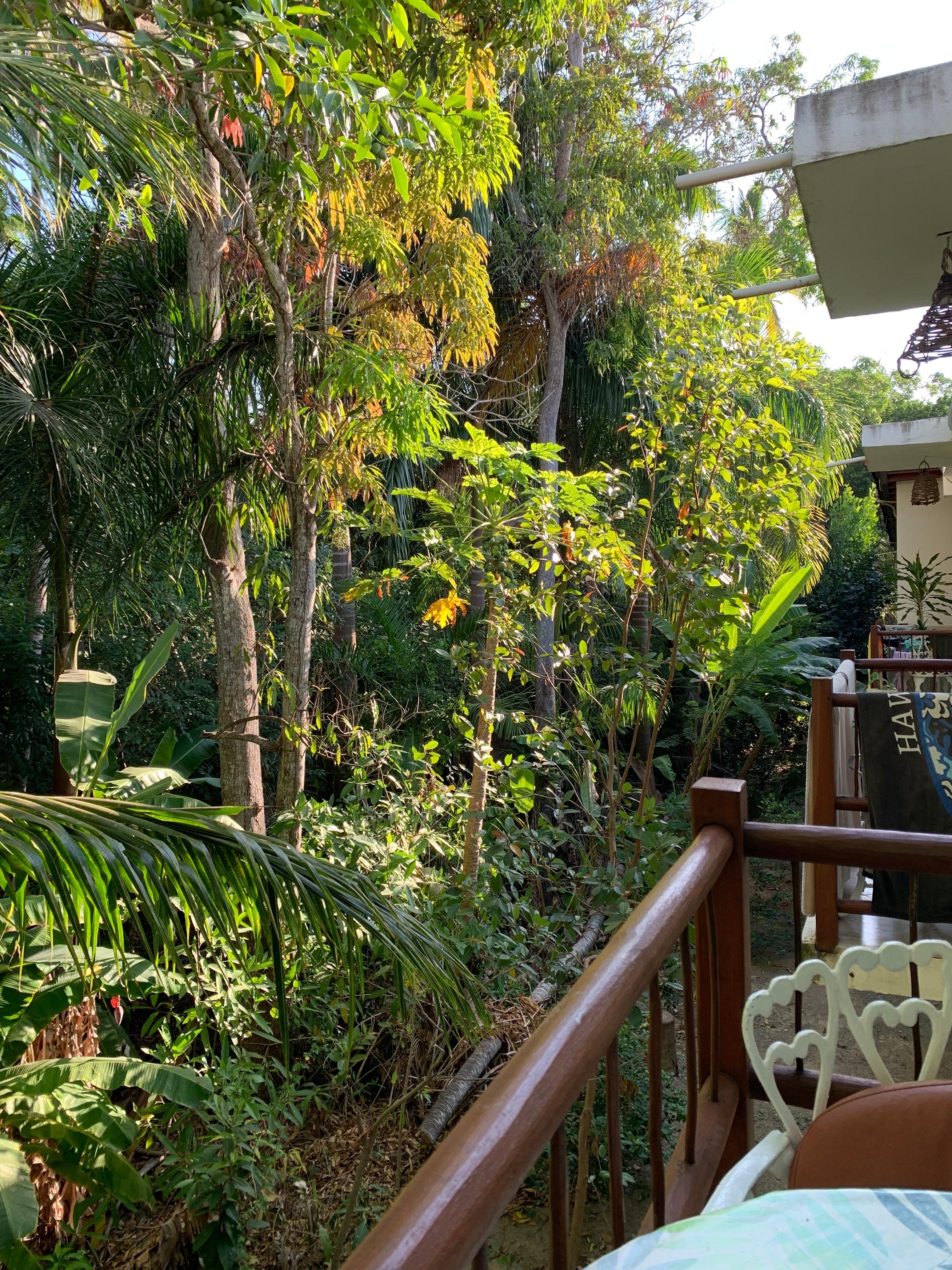 The view from our second floor balcony 