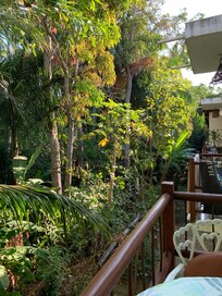 The view from our second floor balcony