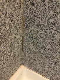 Mildew on Tge Other side of shower