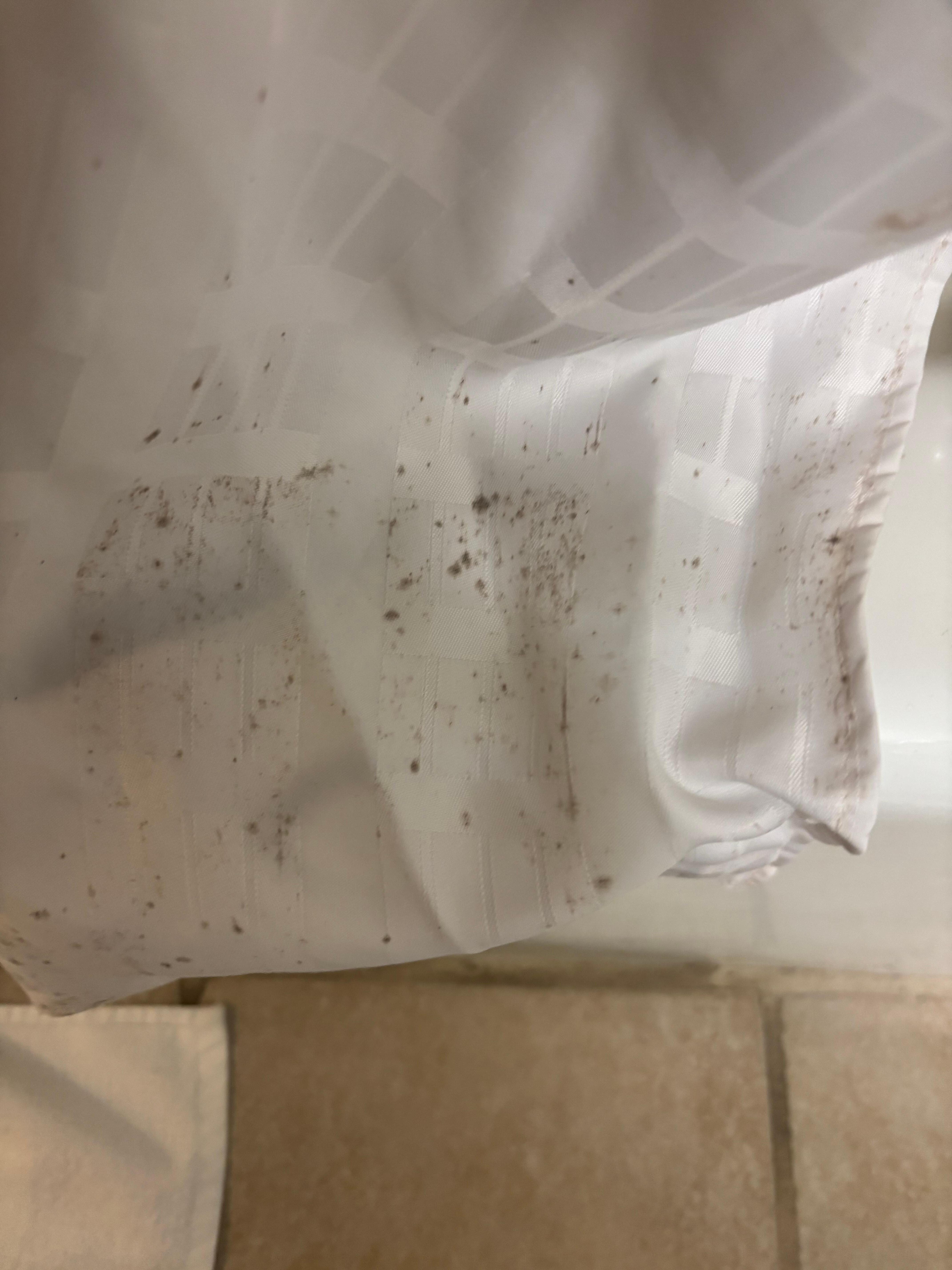 Bathroom shower curtain 