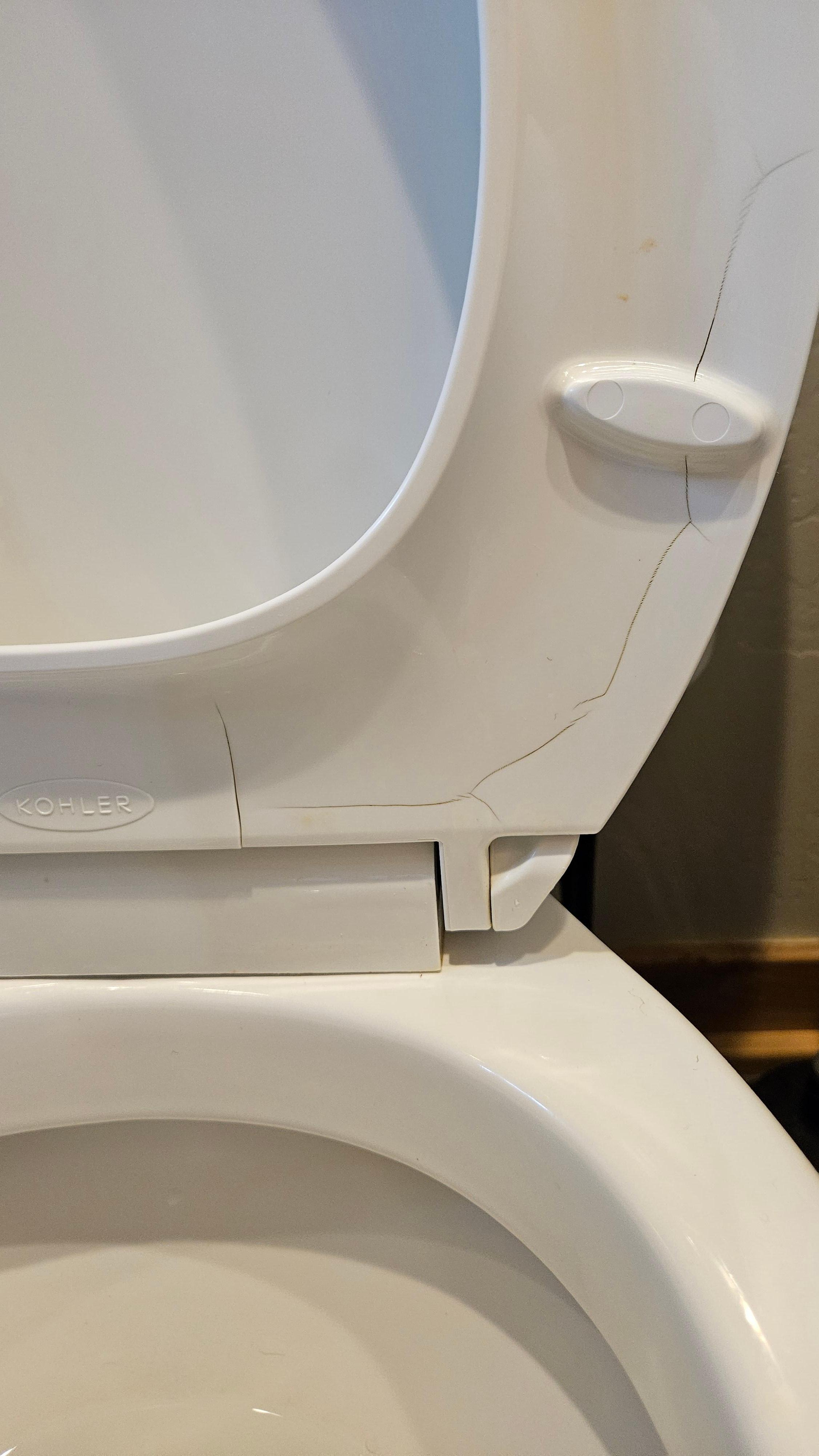 Broken toilet seat