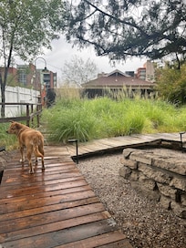 Great place for our dog
