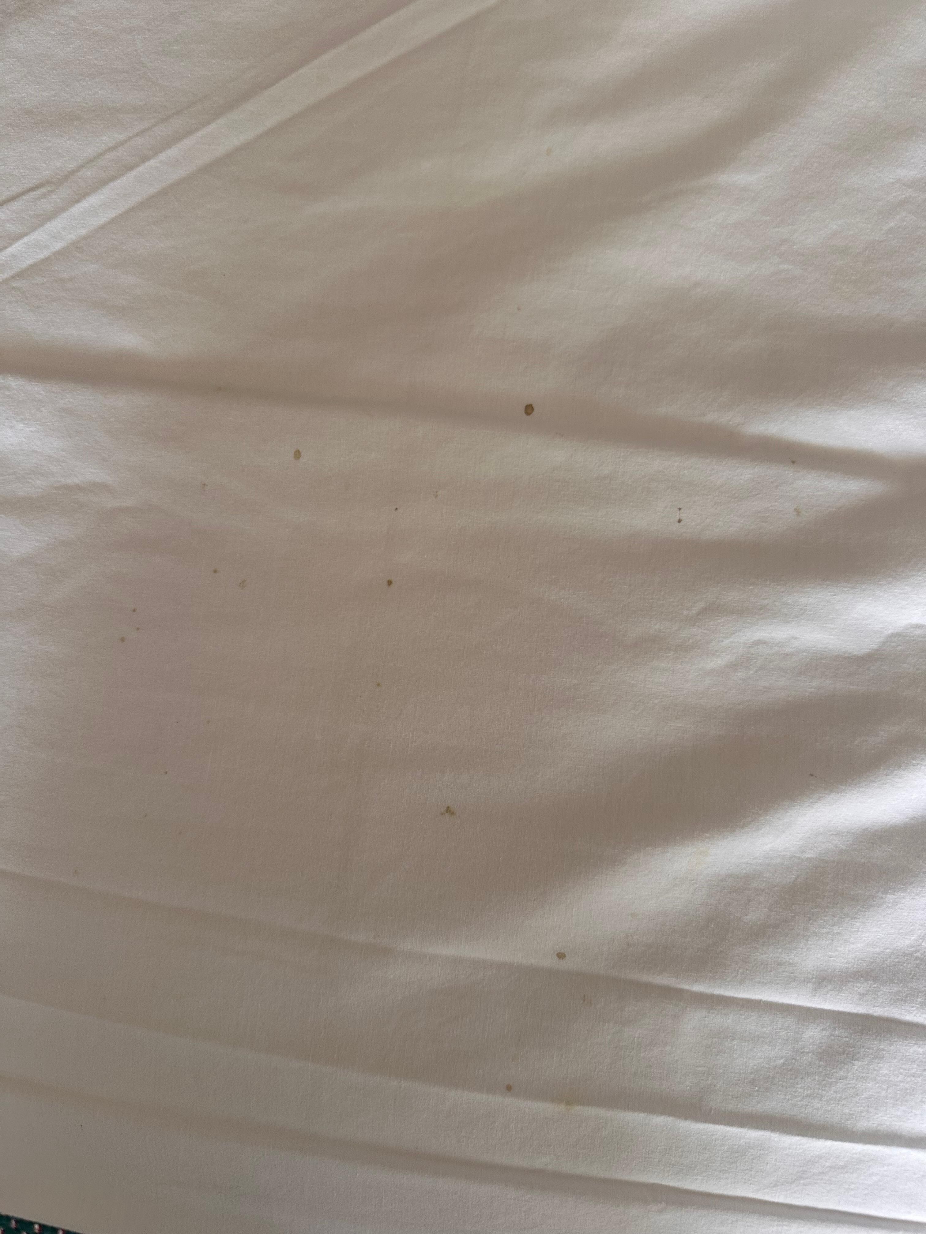 Blood stains on bed sheets