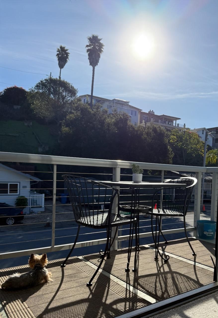 Our dog Willow enjoying the lanai/deck
