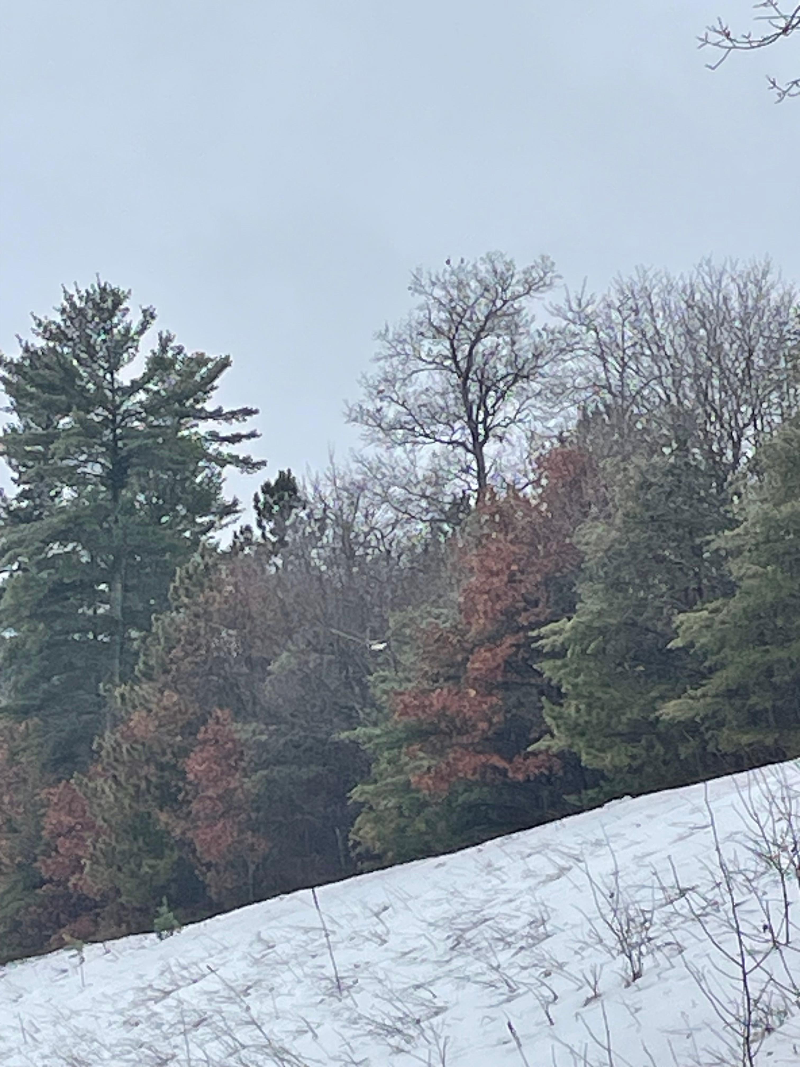 Walking around enjoying the day 