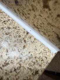More ants