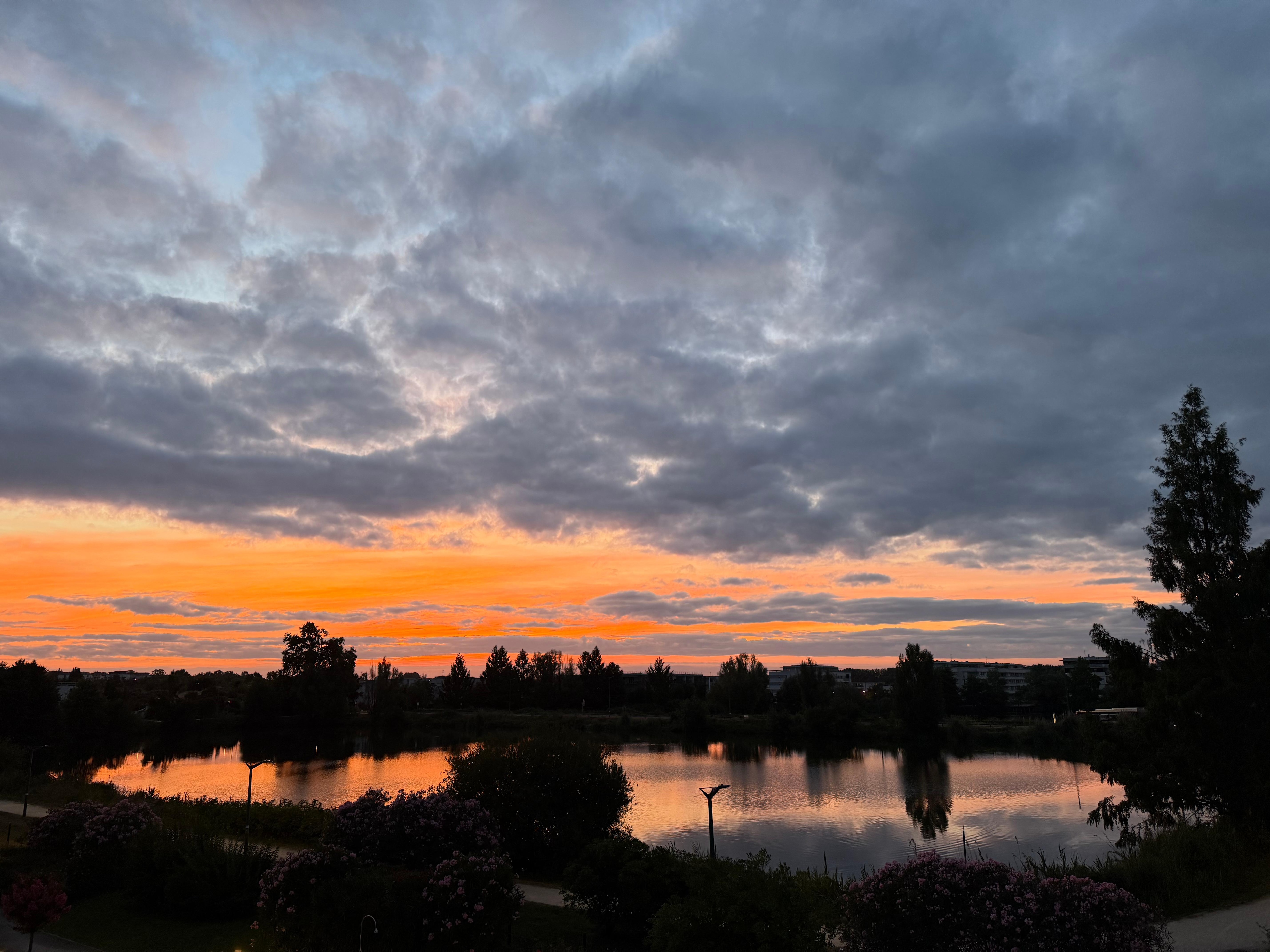 Udsigt fra værelset