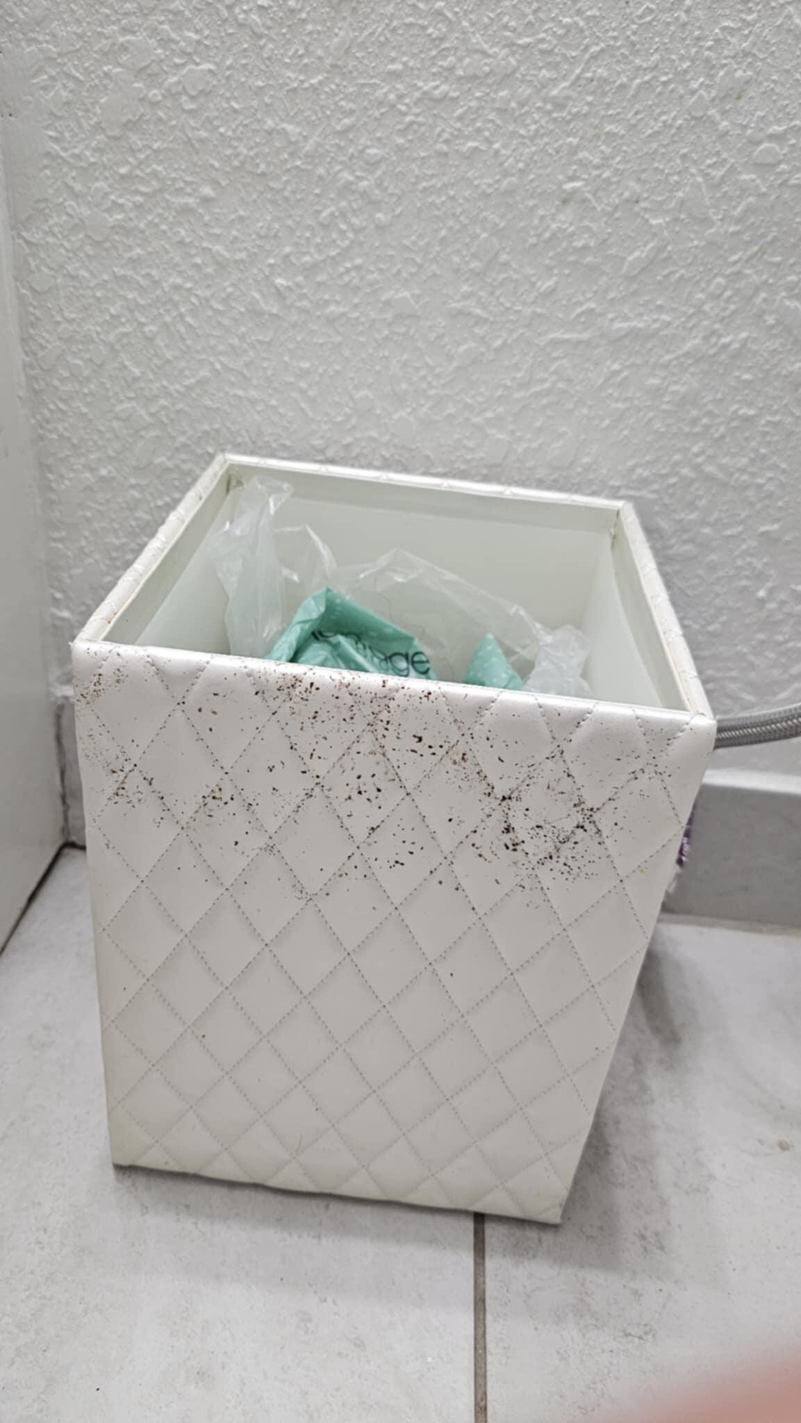 Bug poop everywhere 