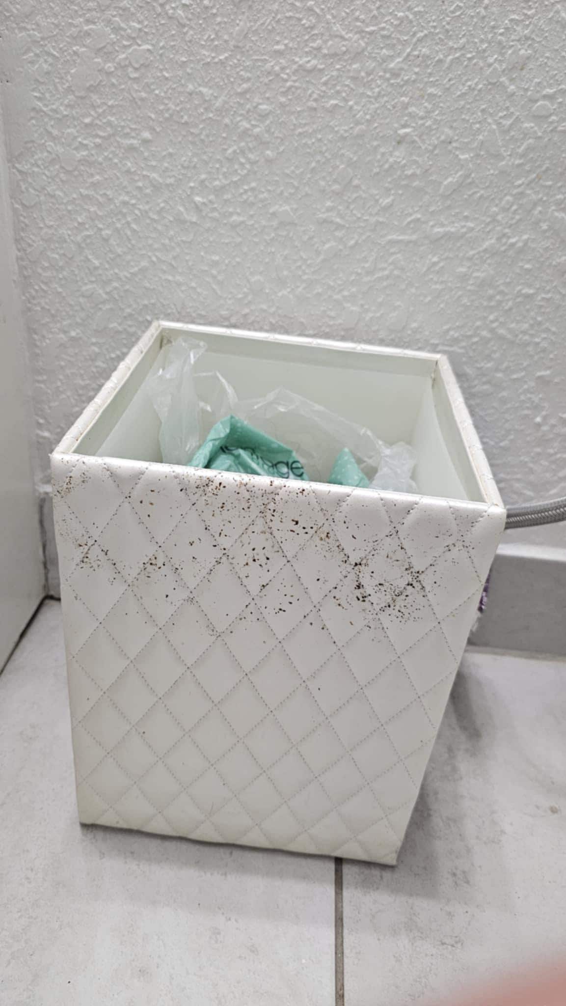 Bug poop everywhere