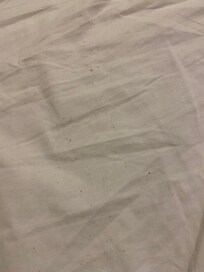 Spotted sheets