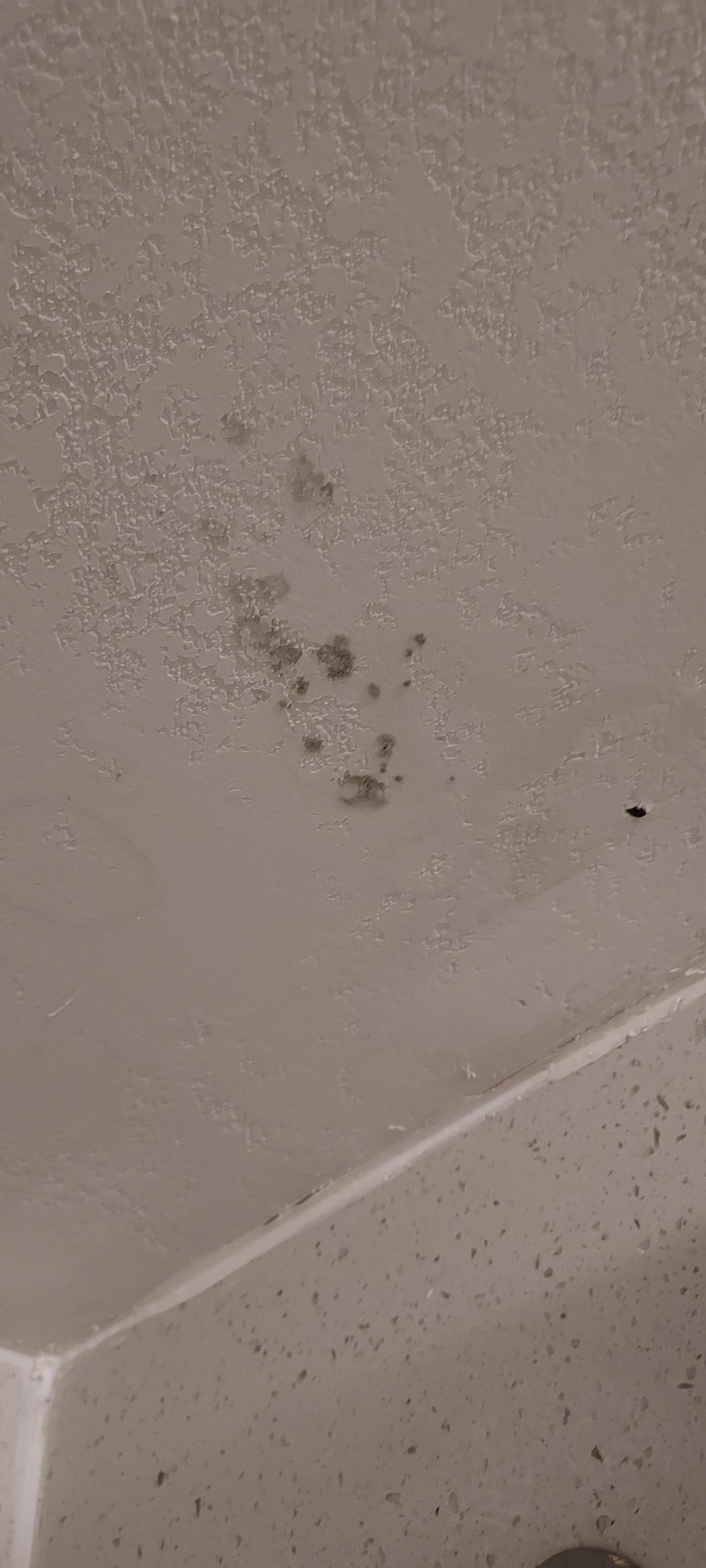 Mold on shower ceiling