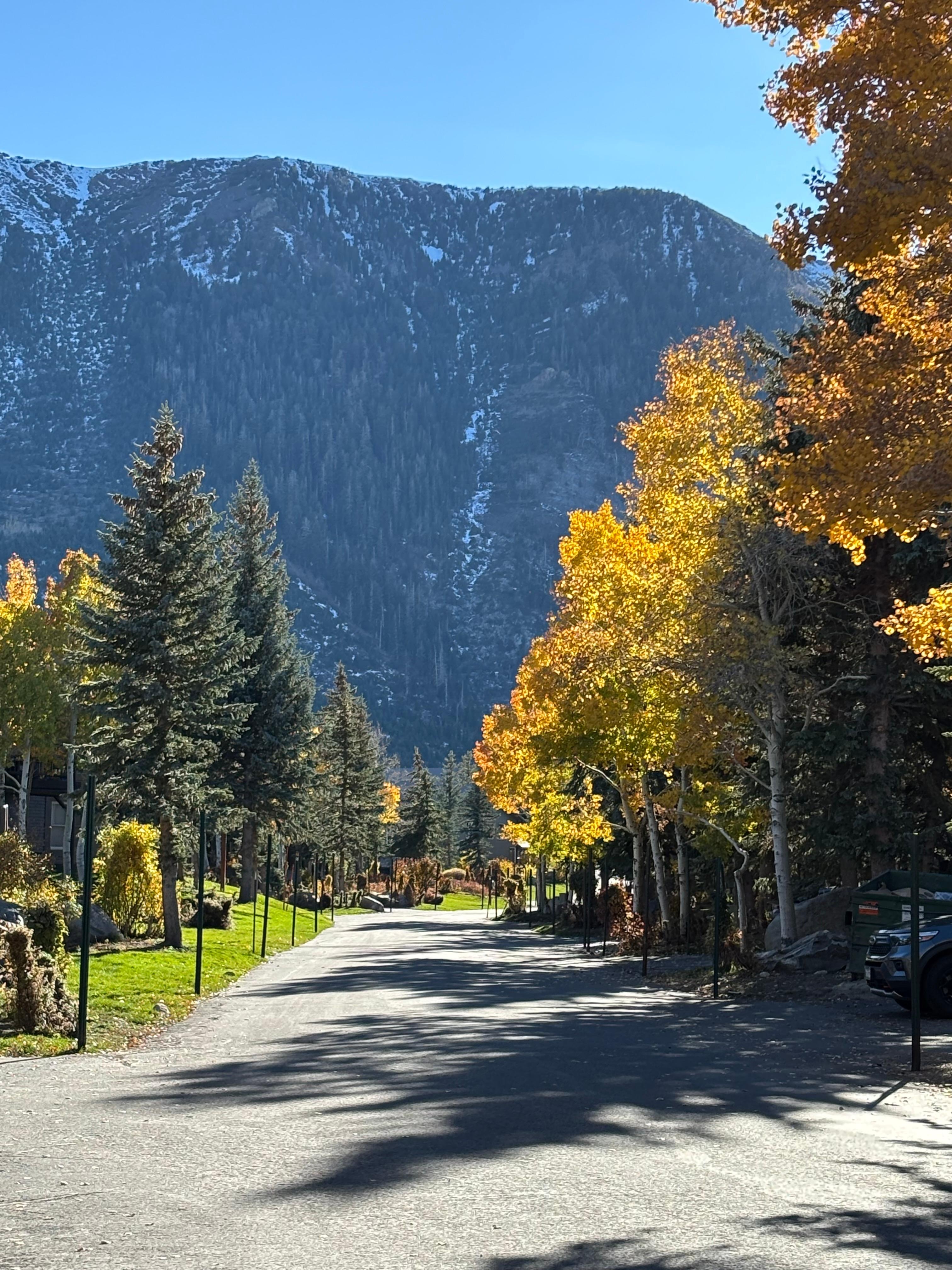 Snowcreek V neighborhood 