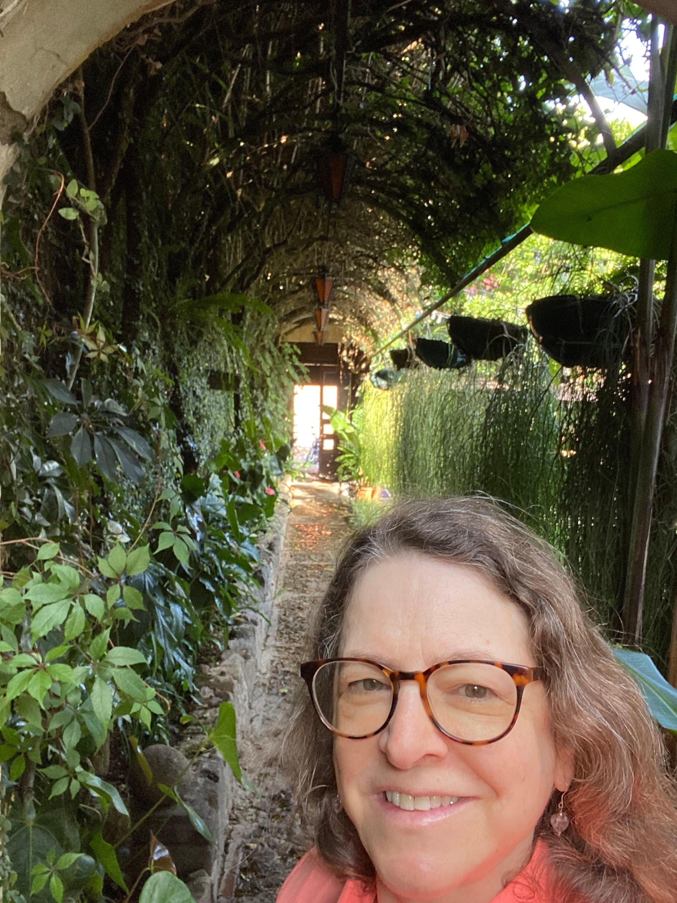 Looking into the garden