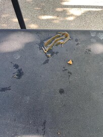 Melted caramel and food crumbs on exterior table.