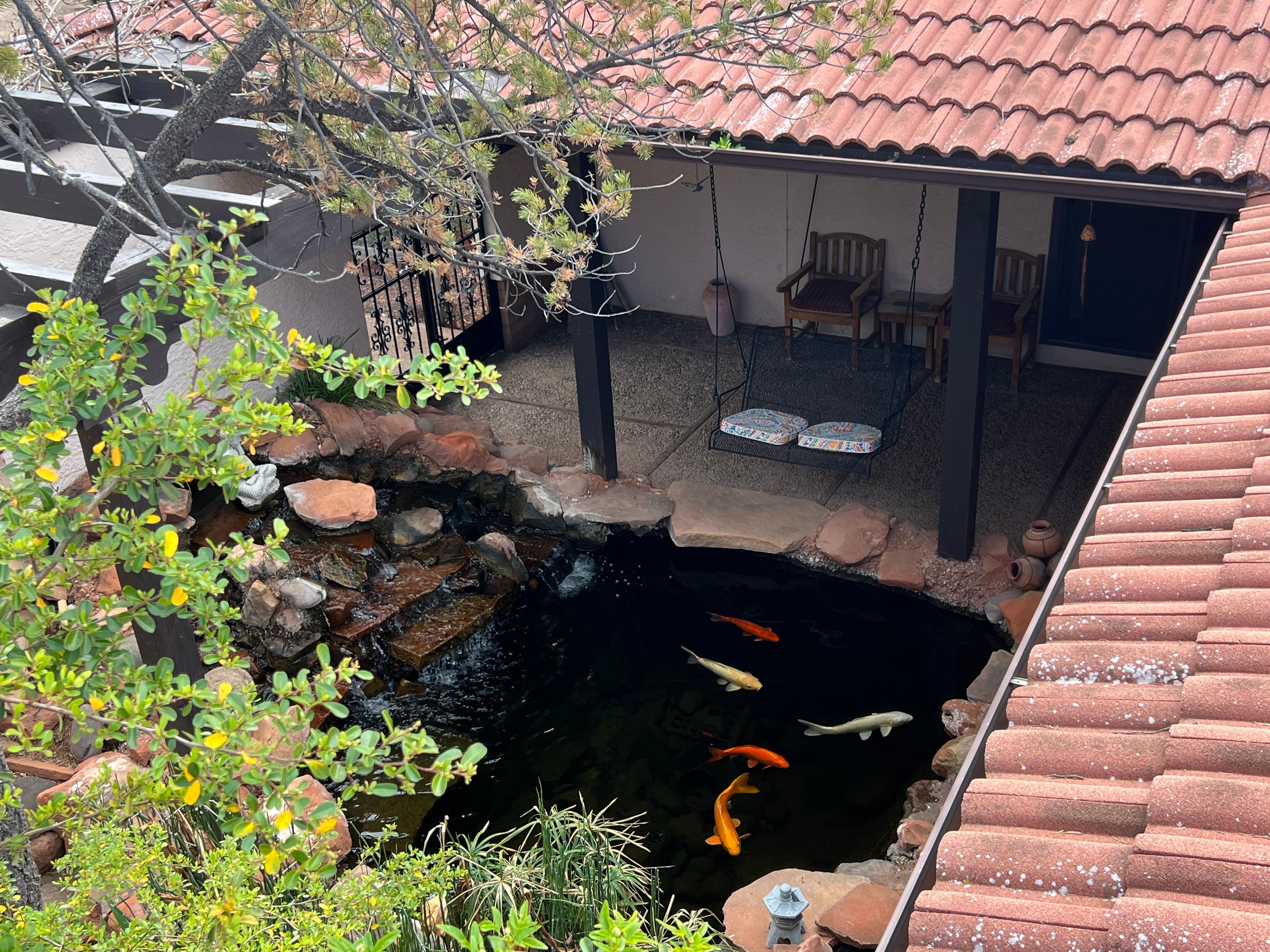 Koi pond from the rooftop deck