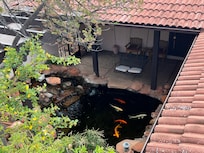 Koi pond from the rooftop deck