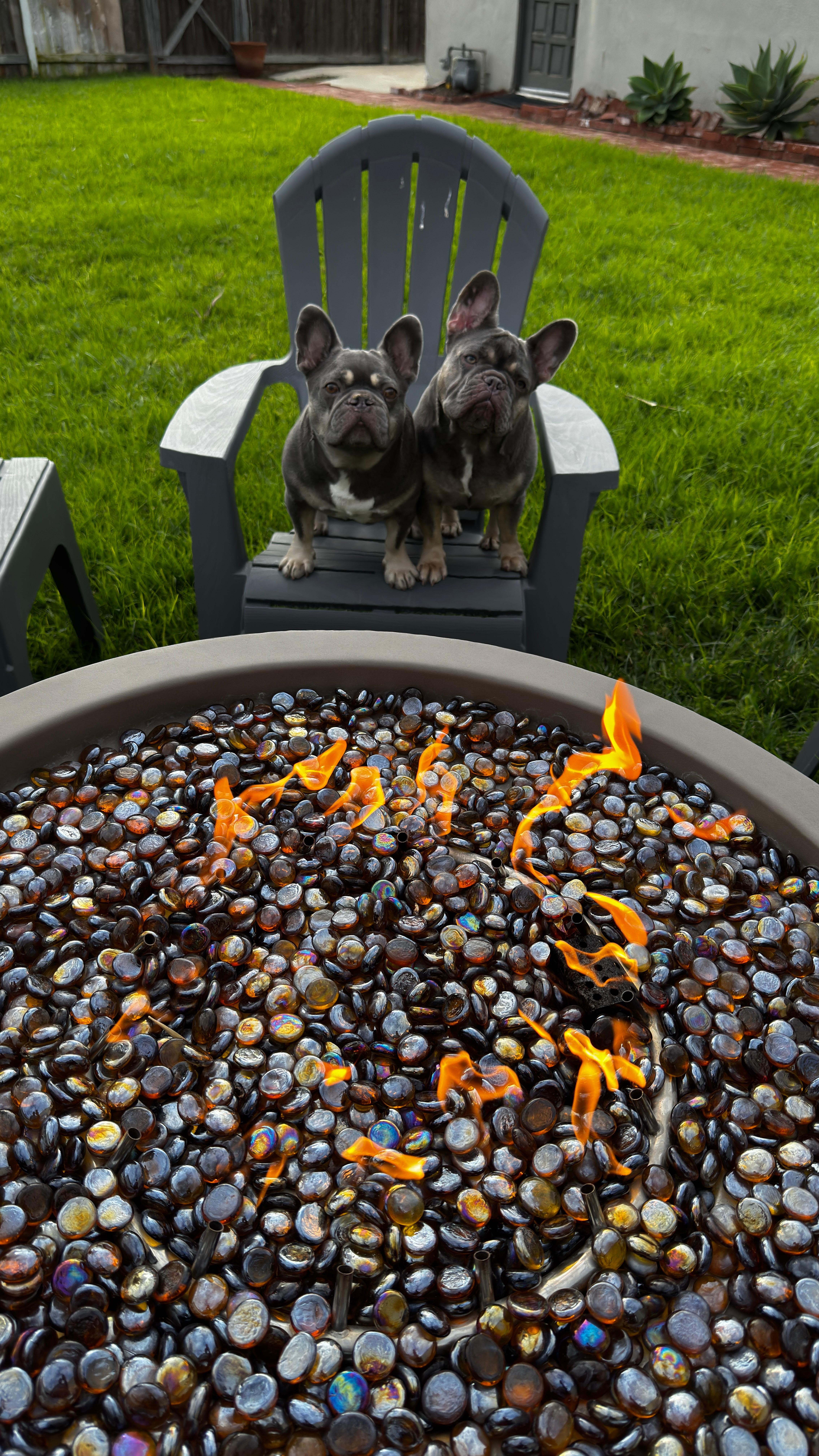 Fire pit to enjoy on cool nights