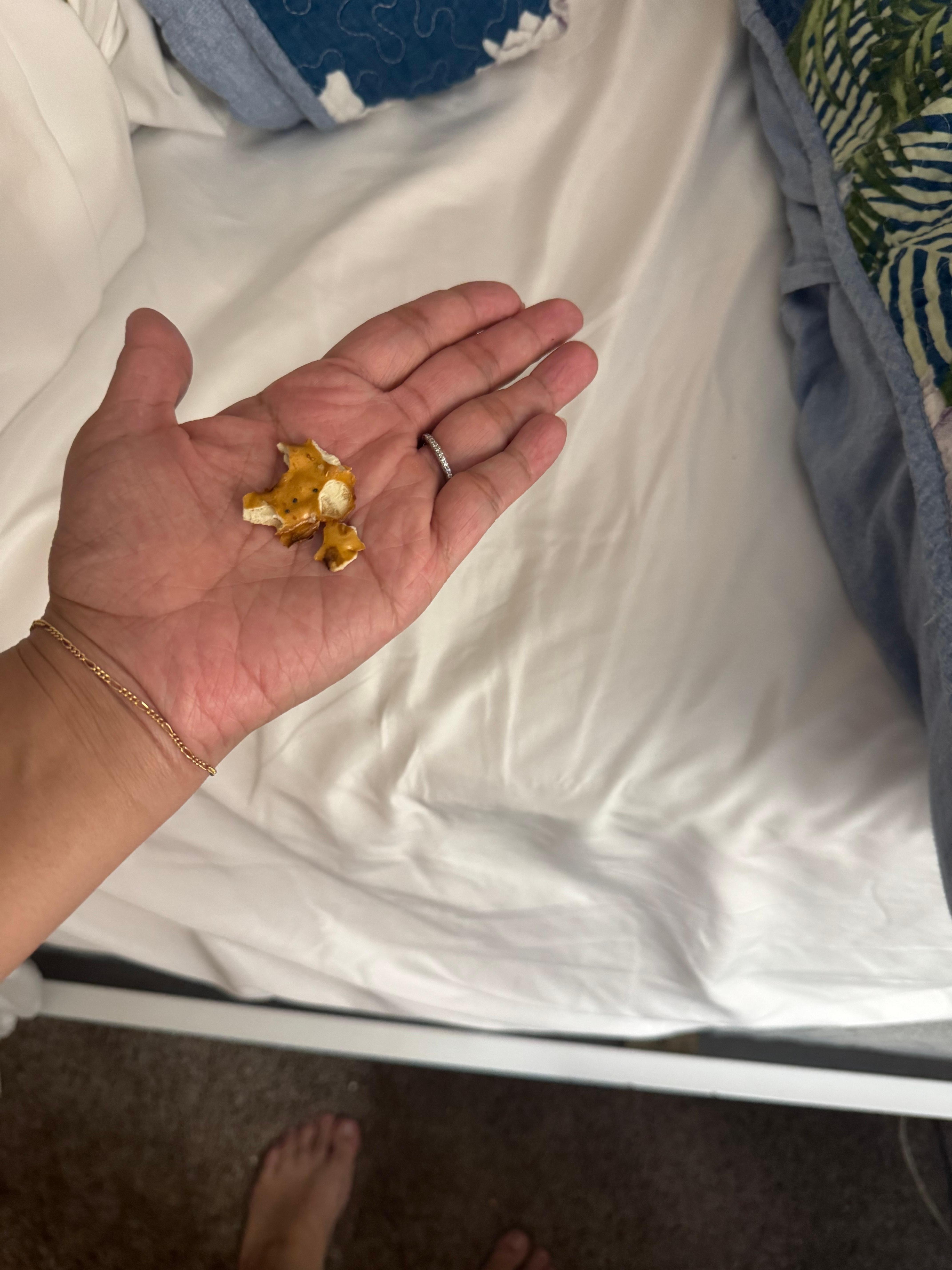 First night, sheets were not changed/bed not cleaned 